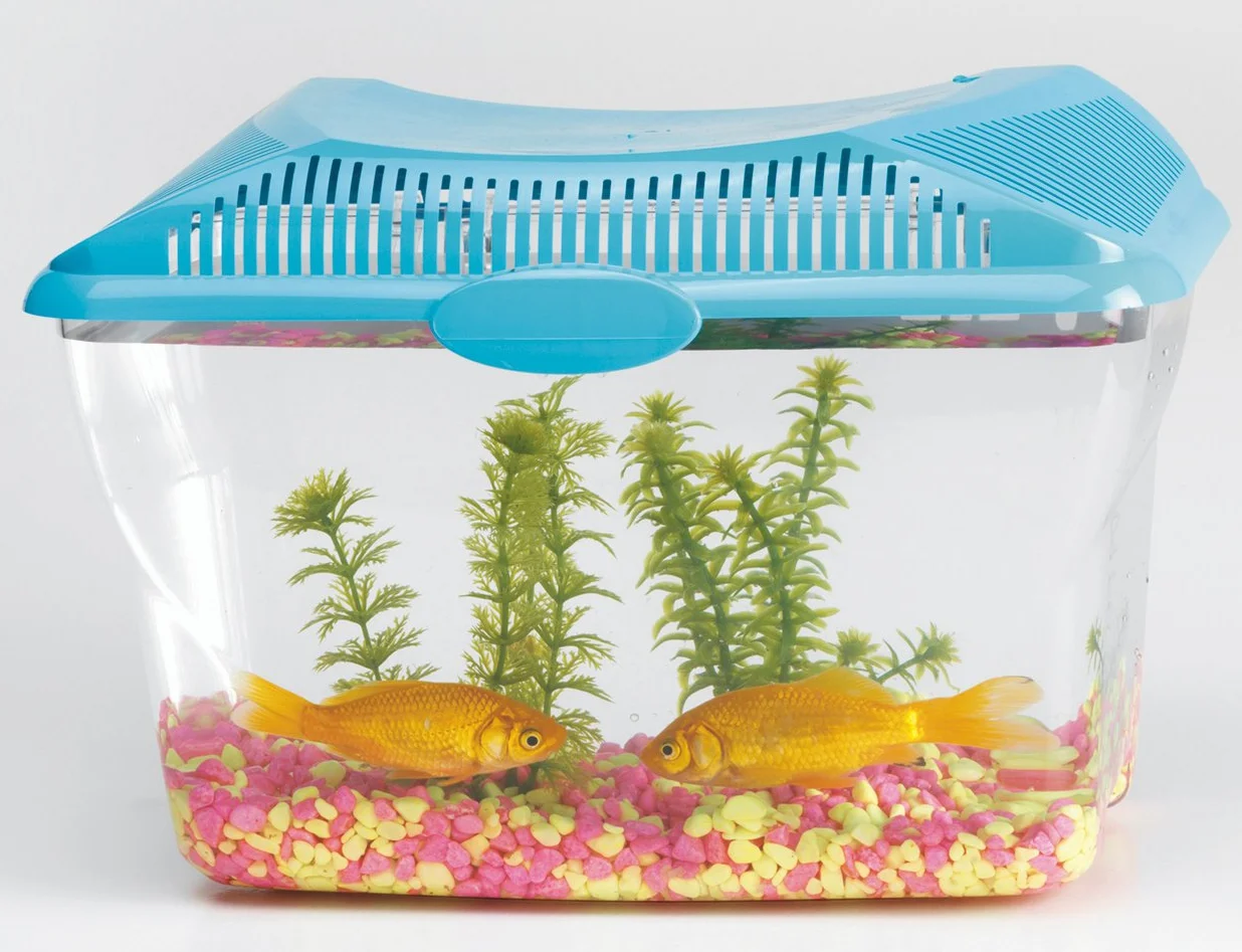 Savic Aquarium Aqua Smile 30 x 20 x 23 cm bleu transparent