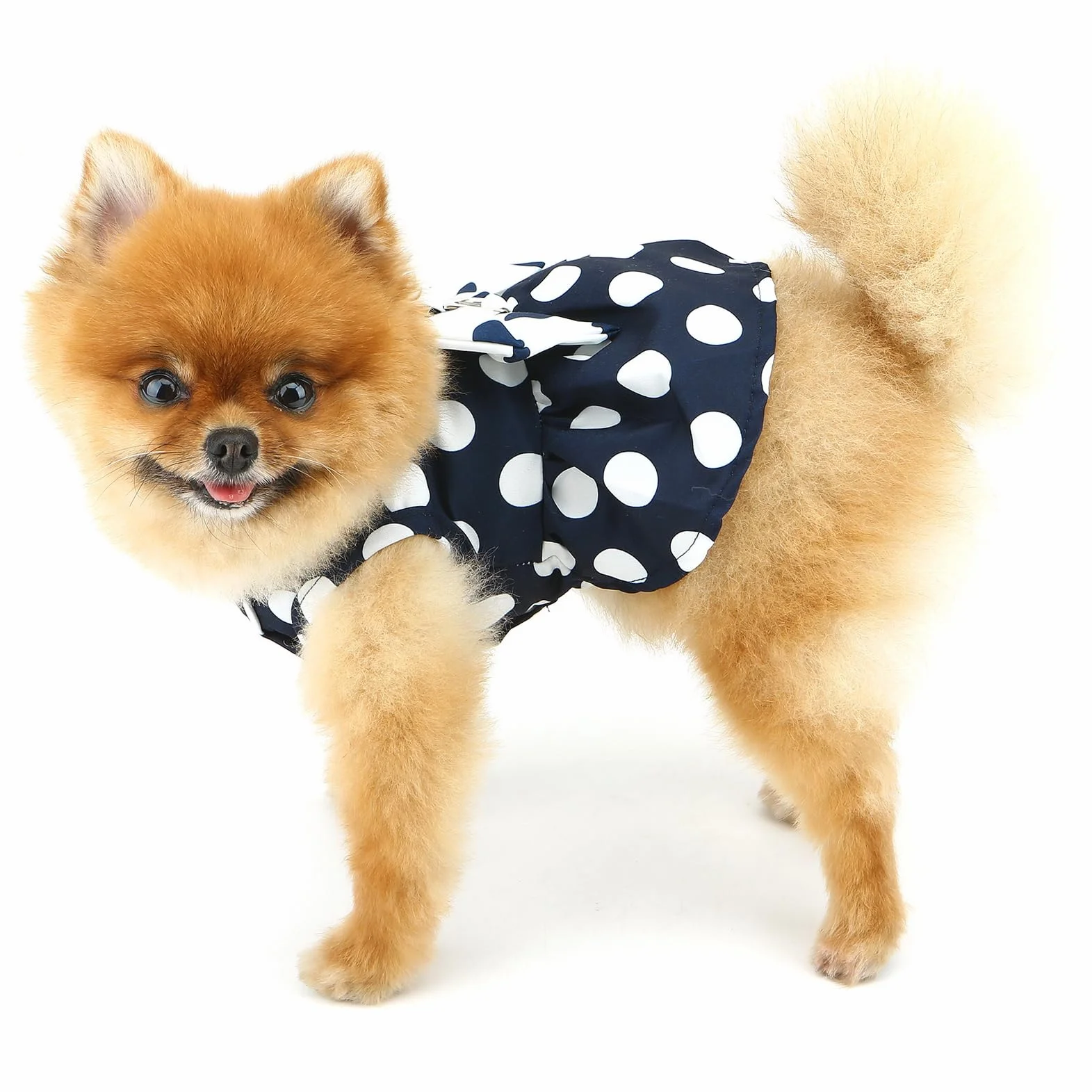 Robe harnais à pois pour petit chien et fille avec anneau en D et nœud – Vêtement respirant pour chihuahua, yorkshire, chat