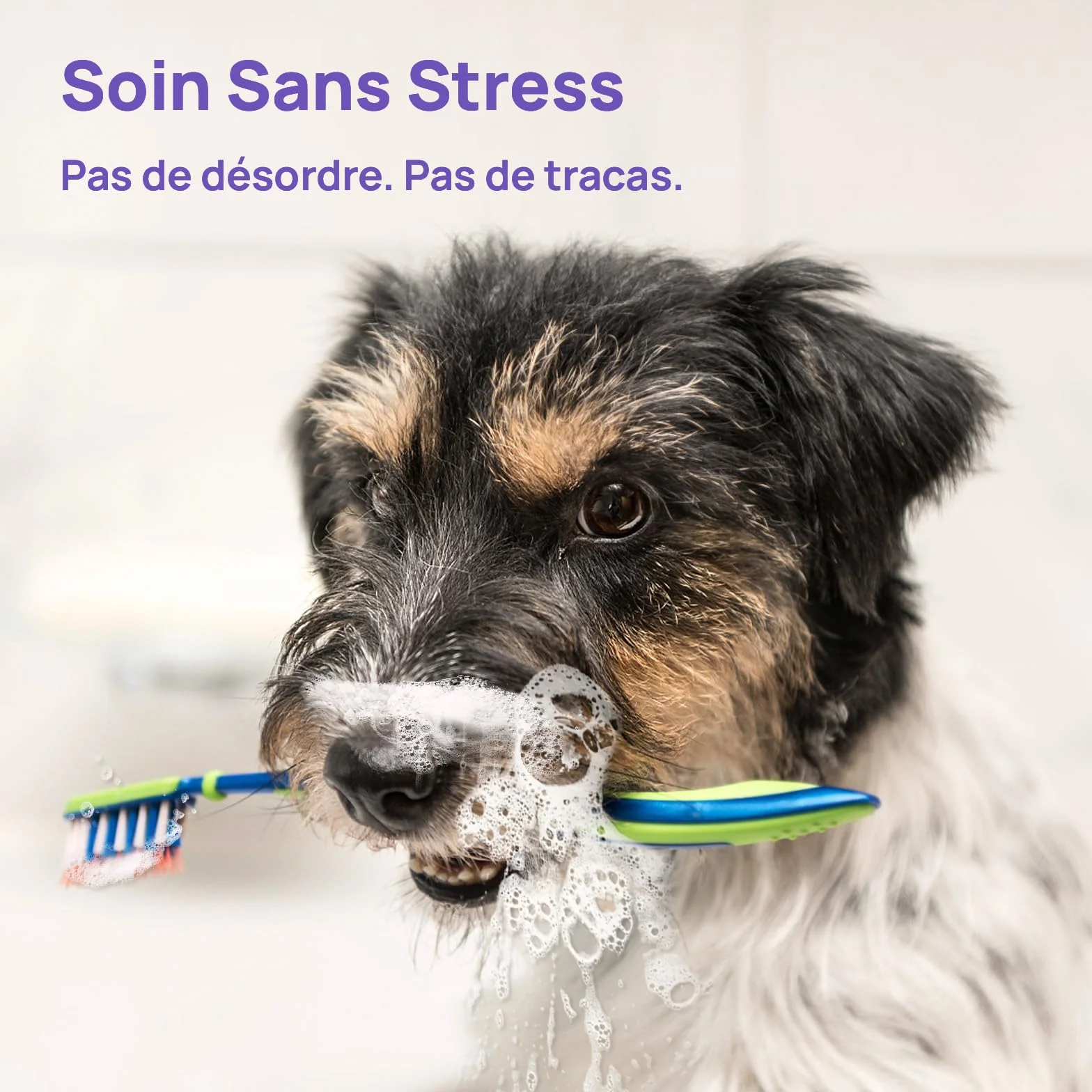 HICC PET Spray buccal pour Chiens & Chats 150 ML Contre la Mauvaise haleine sans brossage