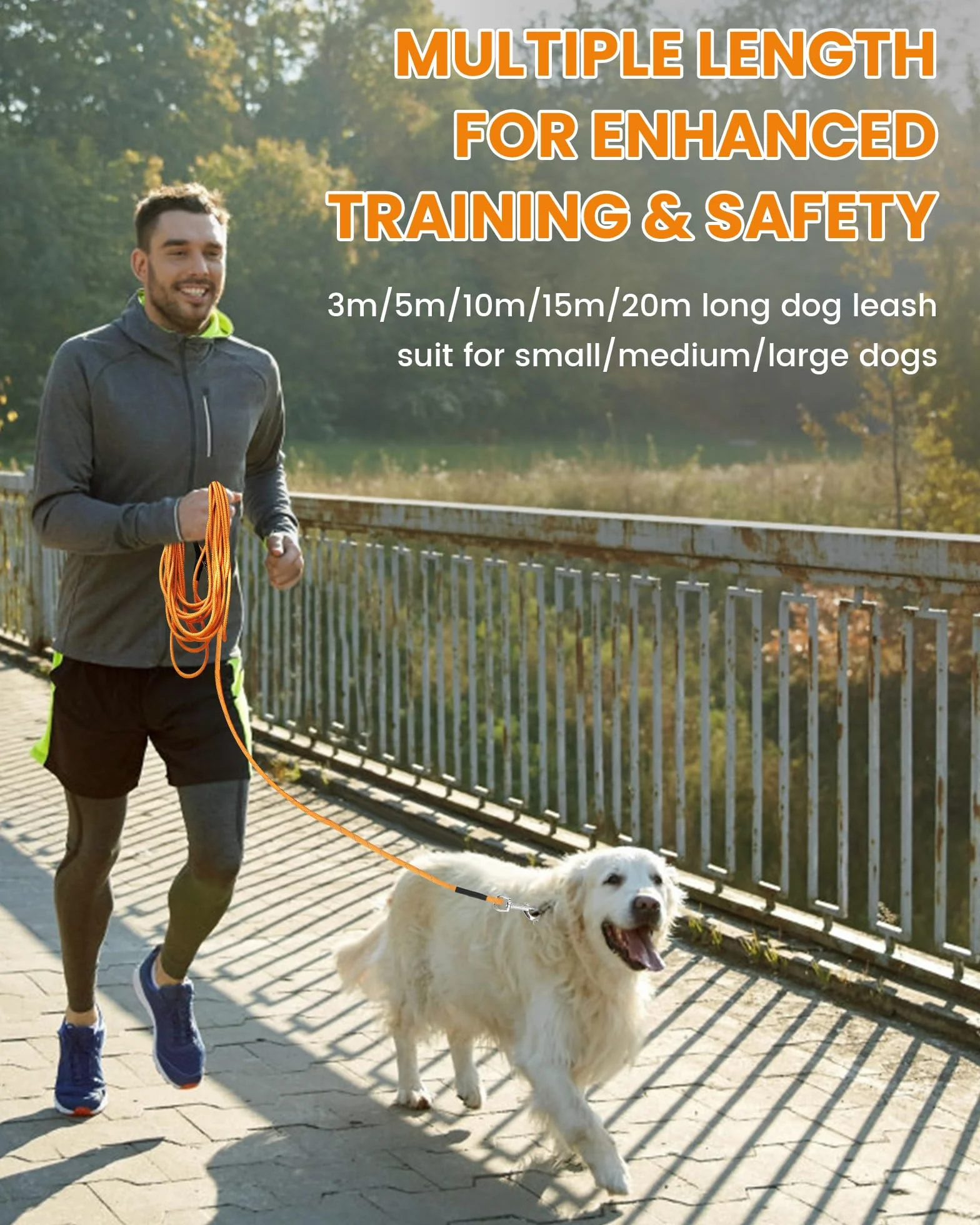 PETTOM Longe Chien 10m Réfléchissante avec 2 Mousquetons, Orange