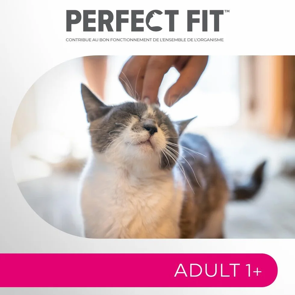 PERFECT FIT Adulte 1+ Croquettes chat stérilisé Saumon 1,4 kg Lot de 5