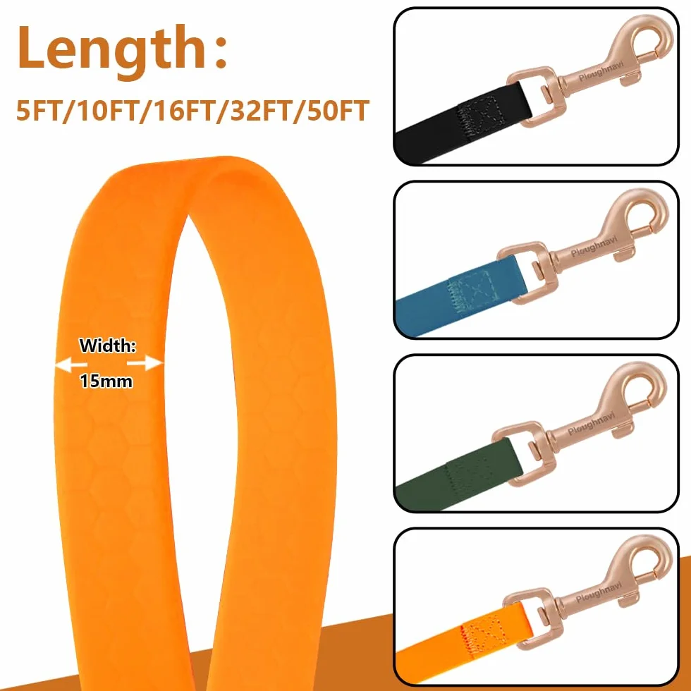 Laisse de Dressage et Longe Imperméable pour Extérieur