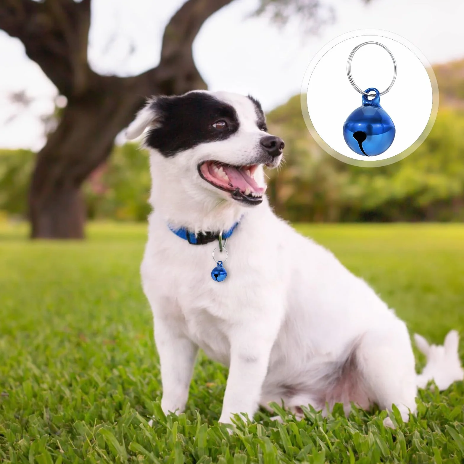 Clochettes colorées pour animaux de compagnie, son net, pour chat et collier chien, anti-perte, pendentif dressage
