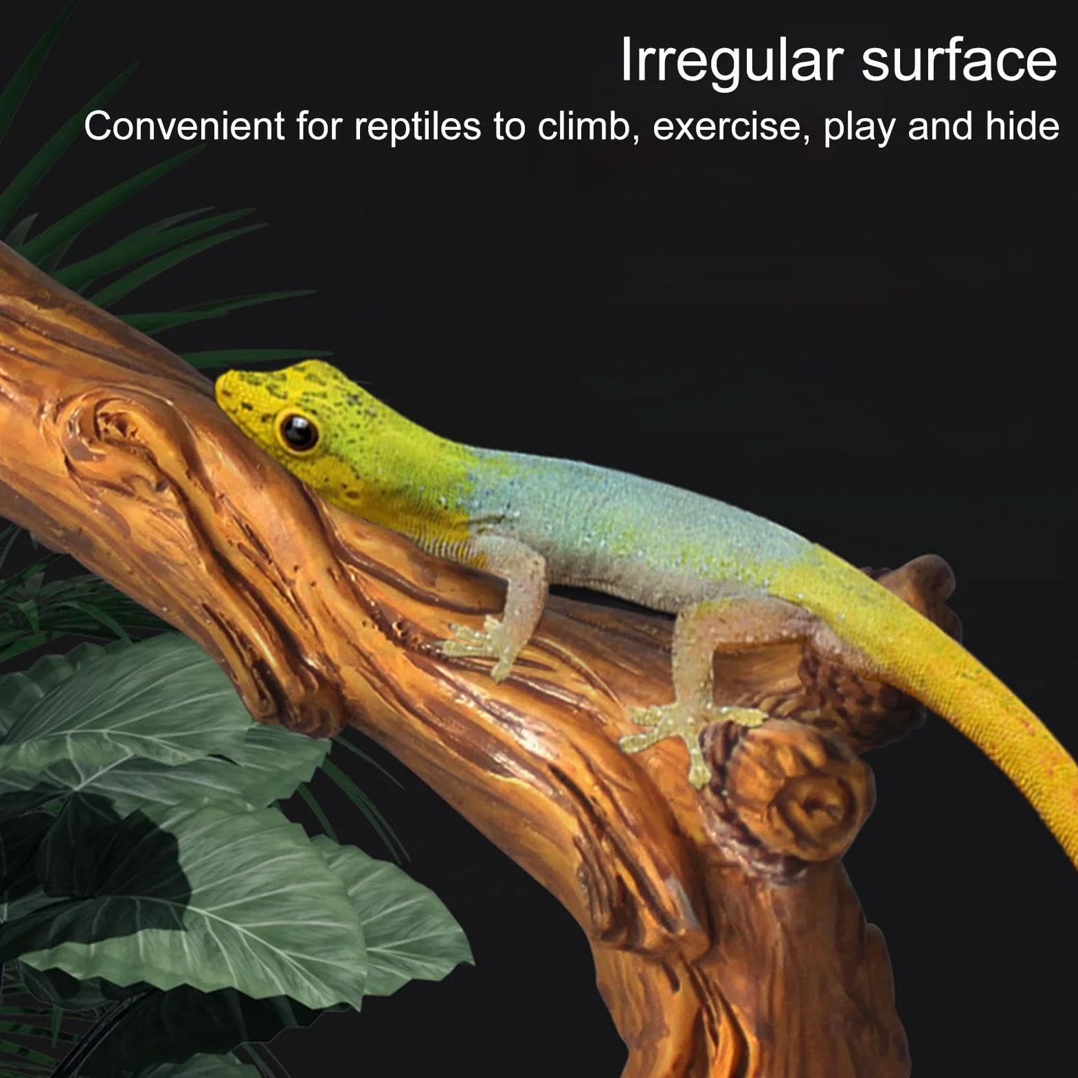 Branches en bois pour reptile, décoration terrarium tronc d'arbre lézard serpent