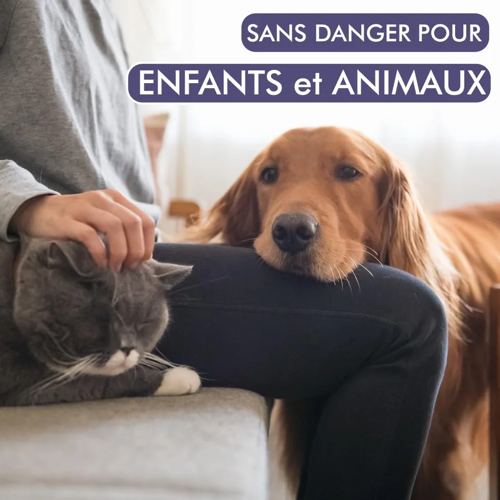 PEARSON Nettoyant Enzymatique Urine Chat Chien Spray 700ML Destructeur Odeur