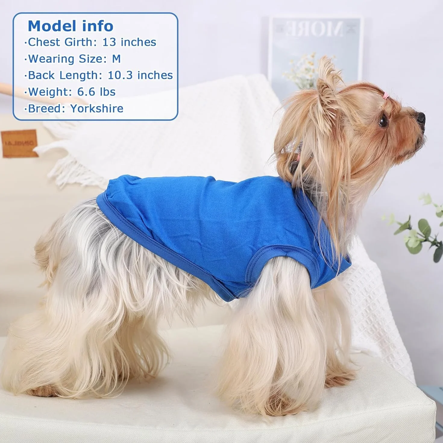 Gilet Rafraîchissant pour Chien de Refroidissement pour Petite et Moyenne Taille Bleu