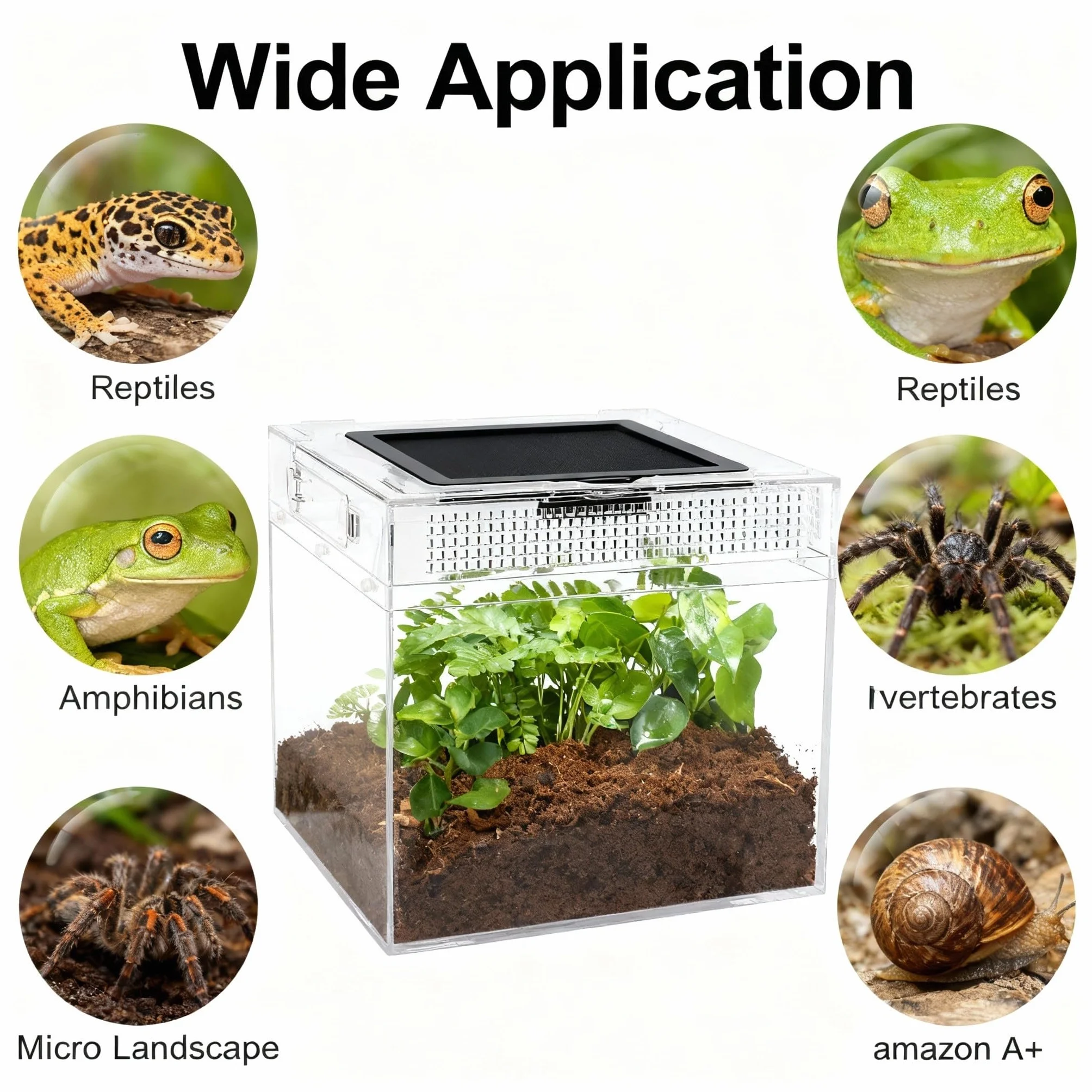 Terrarium pour Reptiles 40x20x25cm Acrylique Transparent avec Trous d'air