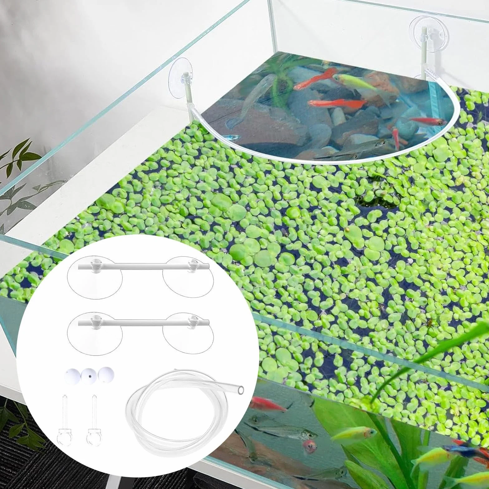 Generisch Anneau d'alimentation pour aquarium, clôture de plantes flottante, accessoires pour séparer les plantes