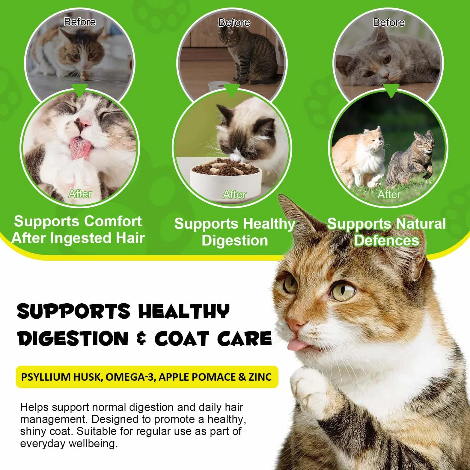 Lot de 2 traitements pour chats 200g 60 jours avec oméga-3 et fibres alimentaires