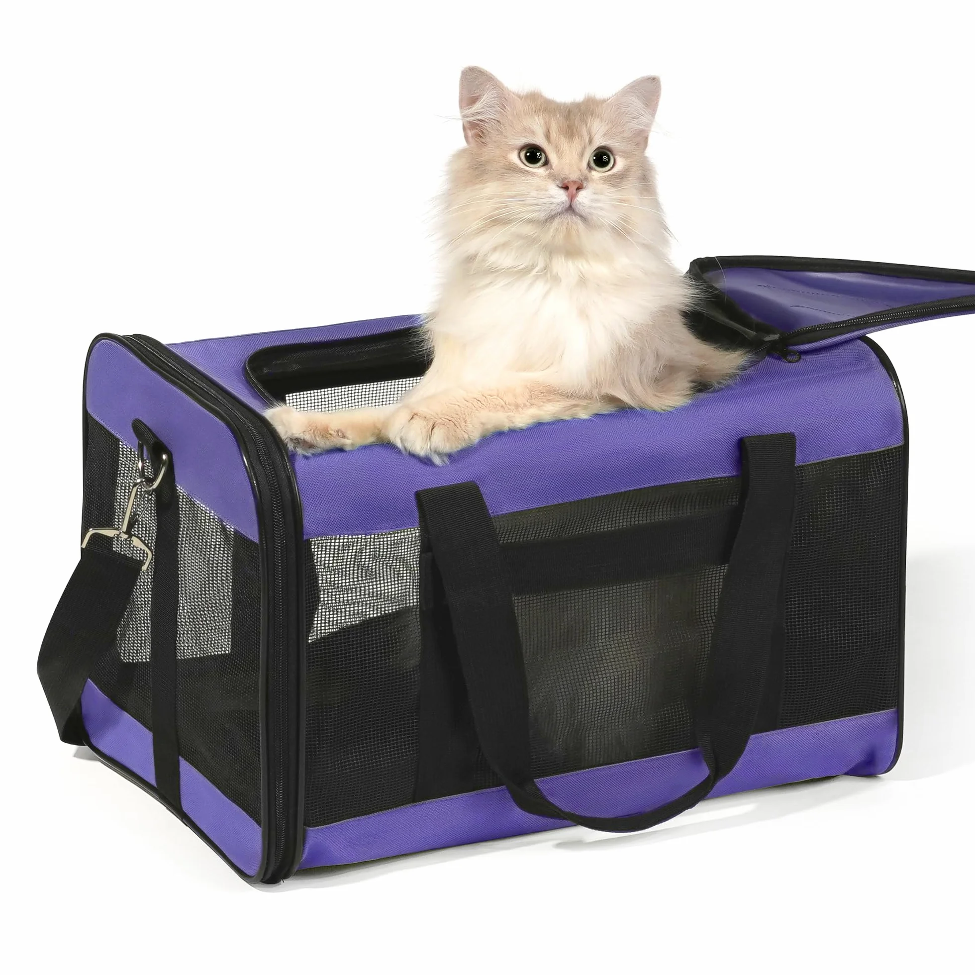 Sac de Transport Chat Chien Pliable Violet M avec Tapis en Laine pour Voyage