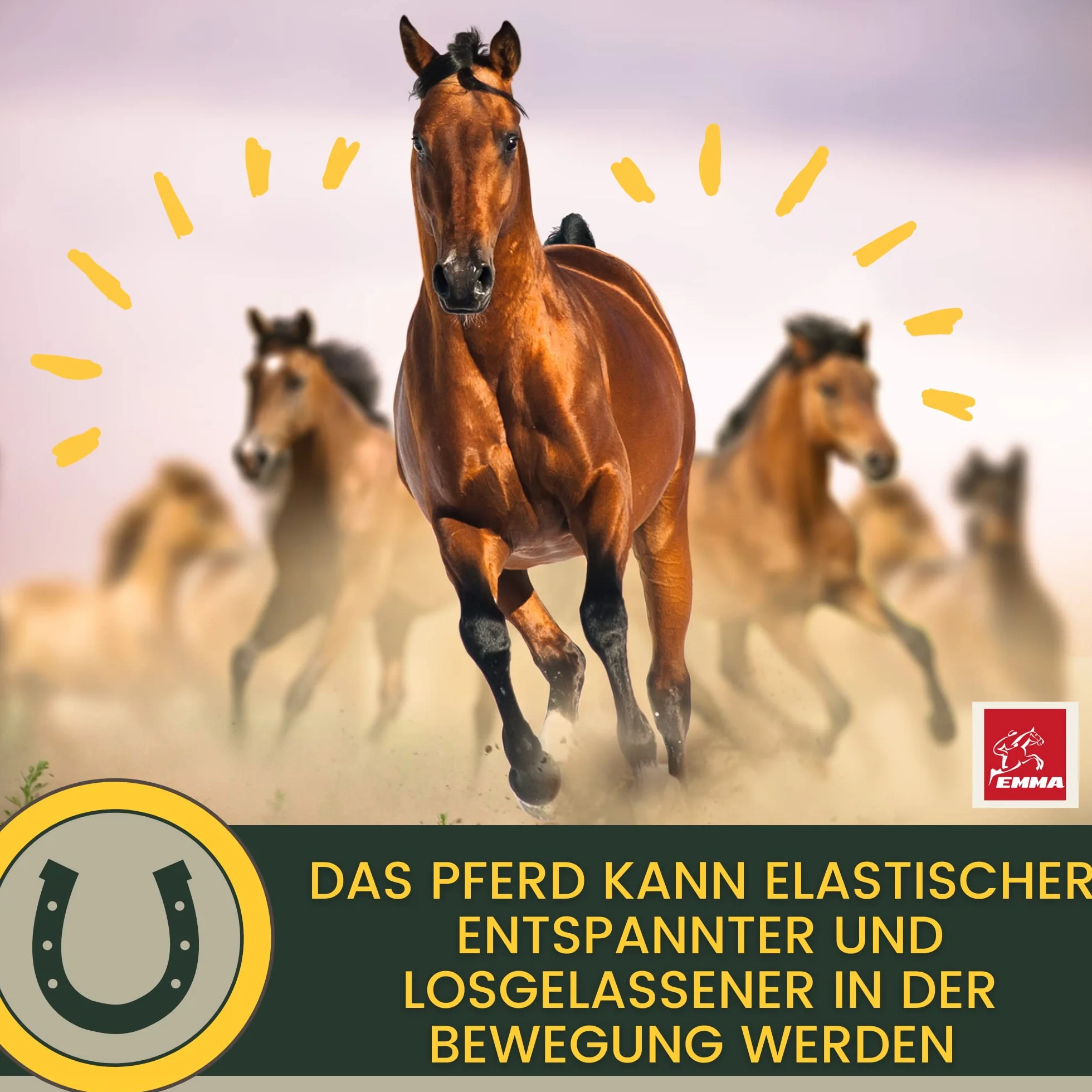 MSM Cheval Pâte vitaminée Plus glucosamine chondroïtine Haute Dose Vitamine C levure de bière Appareil locomoteur articulations 3pc