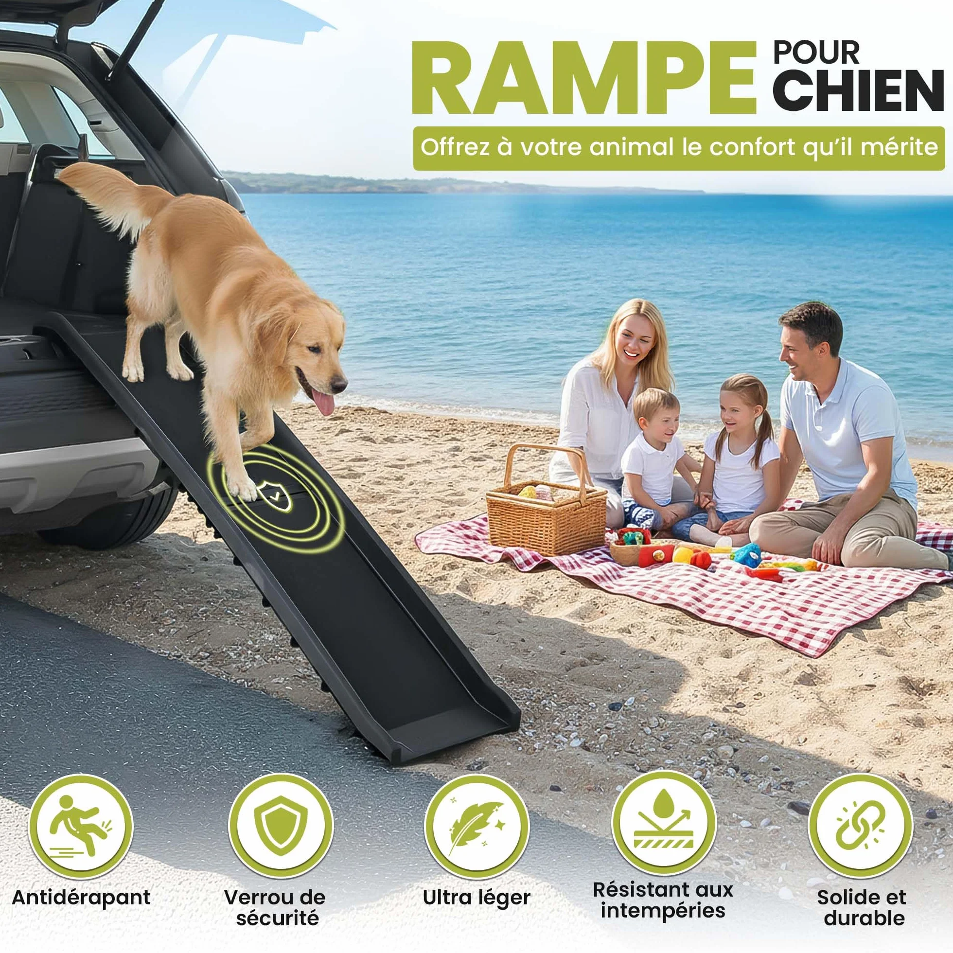 all Pets United® Rampe pour Chien et Chat Pliable Aide à l'entrée dans Le Coffre Escalier pour Animaux domestiques pour Grands et Petits Animaux (Rampe)