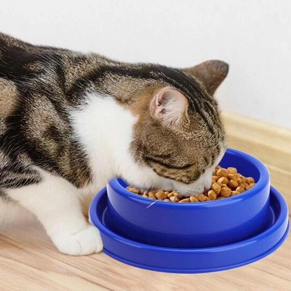 Gamelle anti-fourmi jaune pour chien et chat