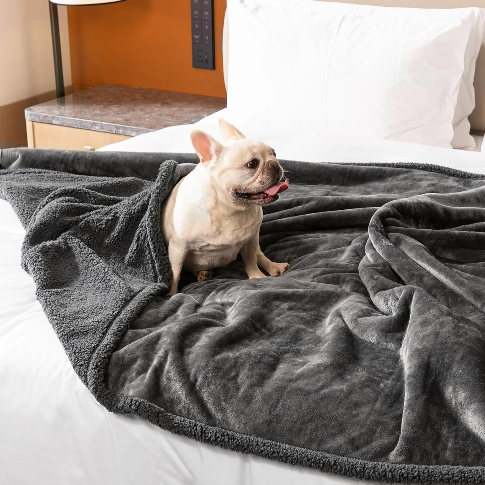 Couverture imperméable réversible pour animal de compagnie gris mat taille M