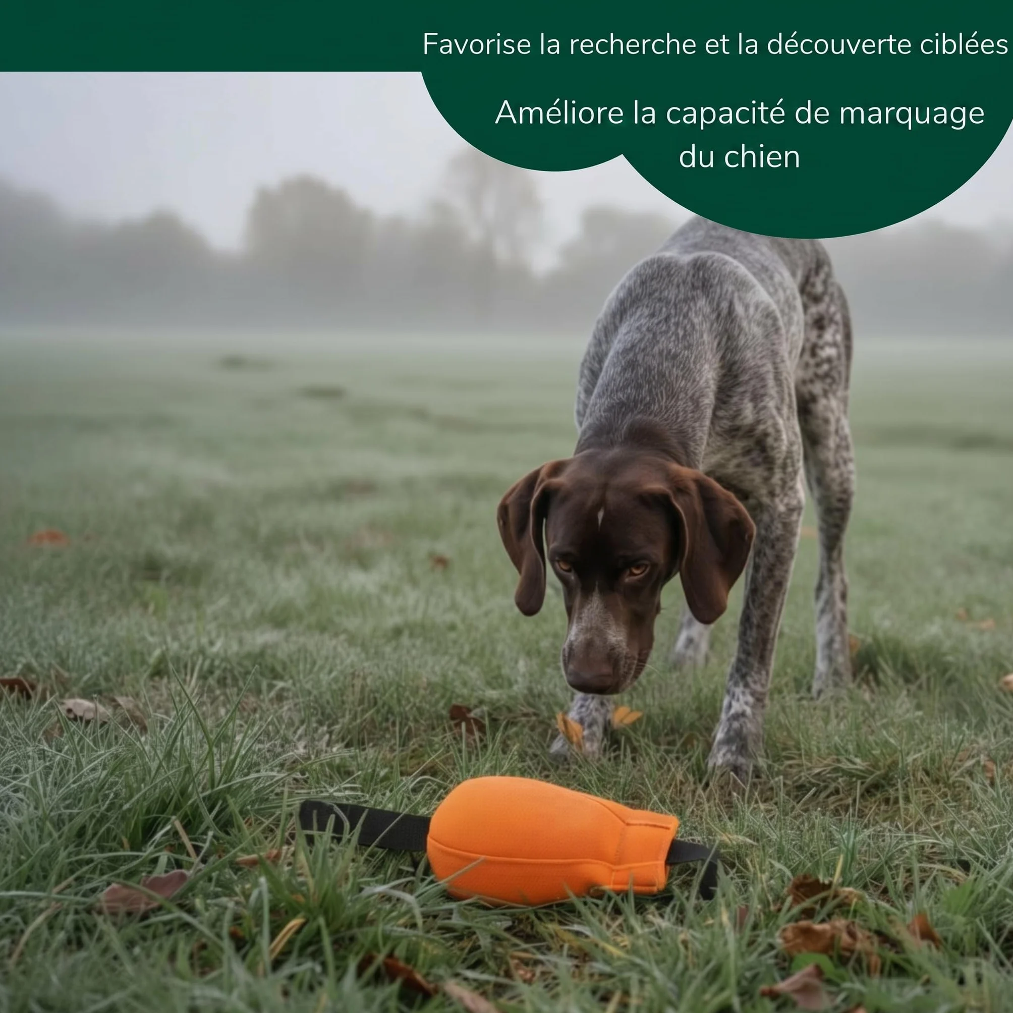 Romneys Dummy Ball SpeedUp 150 g Avec ruban extra long Orange
