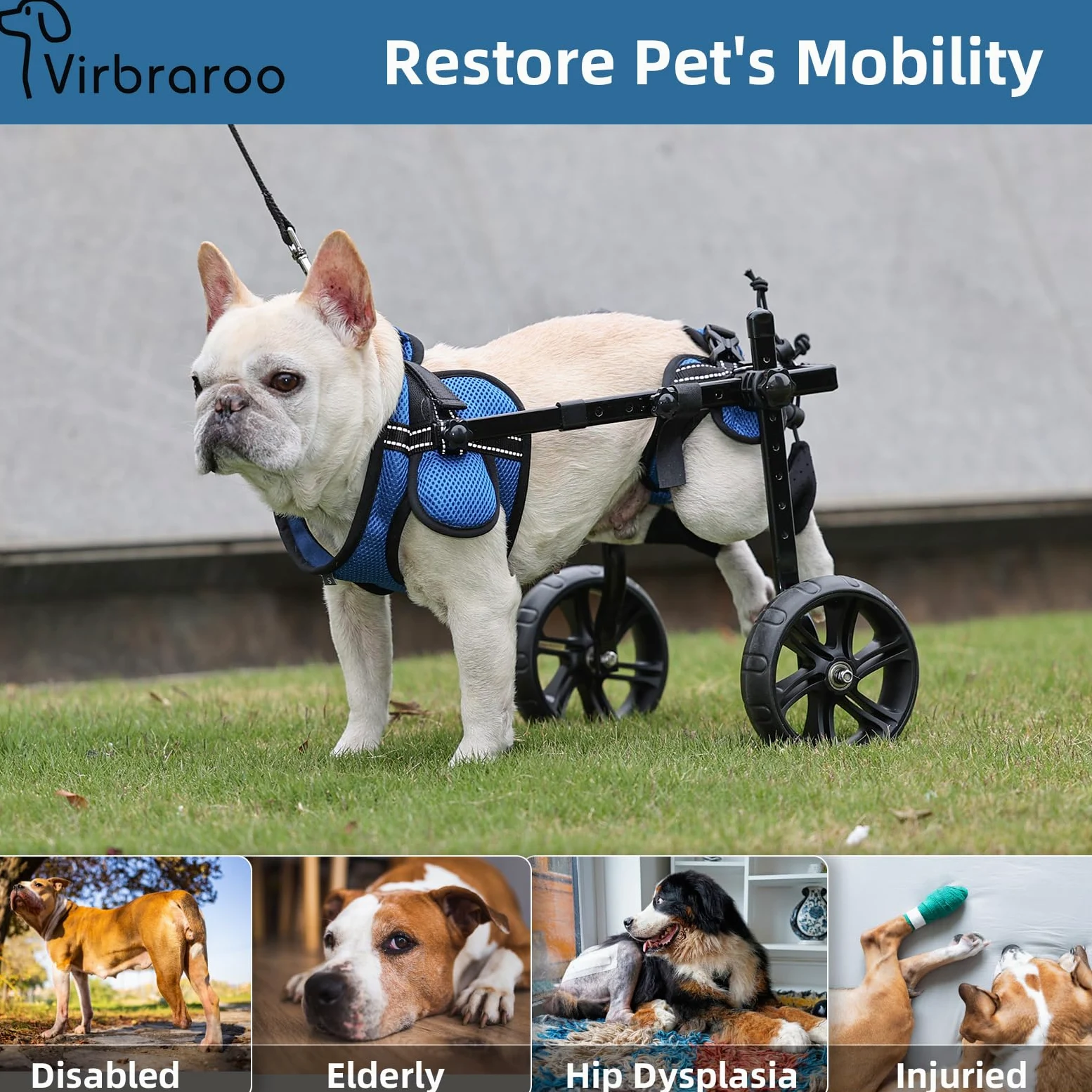 Fauteuil roulant Pvirbravoo Dlm-01 - Pneus tout-terrain améliorés pour petit chien - Fauteuil roulant réglable pour chien - Design de sécurité réfléchissant pour pattes arrière handicapées ou blessées