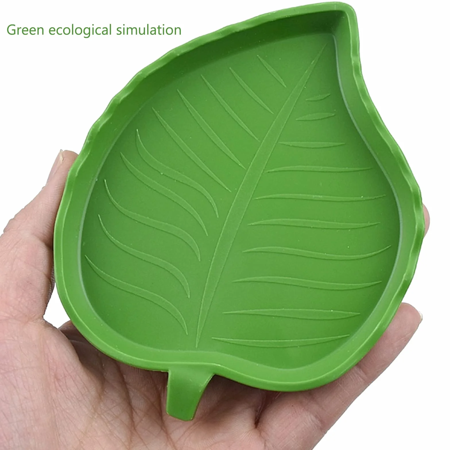 Abreuvoir Tortue Plat Reptile 2 Pièces Bol d'eau pour Petits Animaux Domestiques Lézard Araignée Scorpion Vert