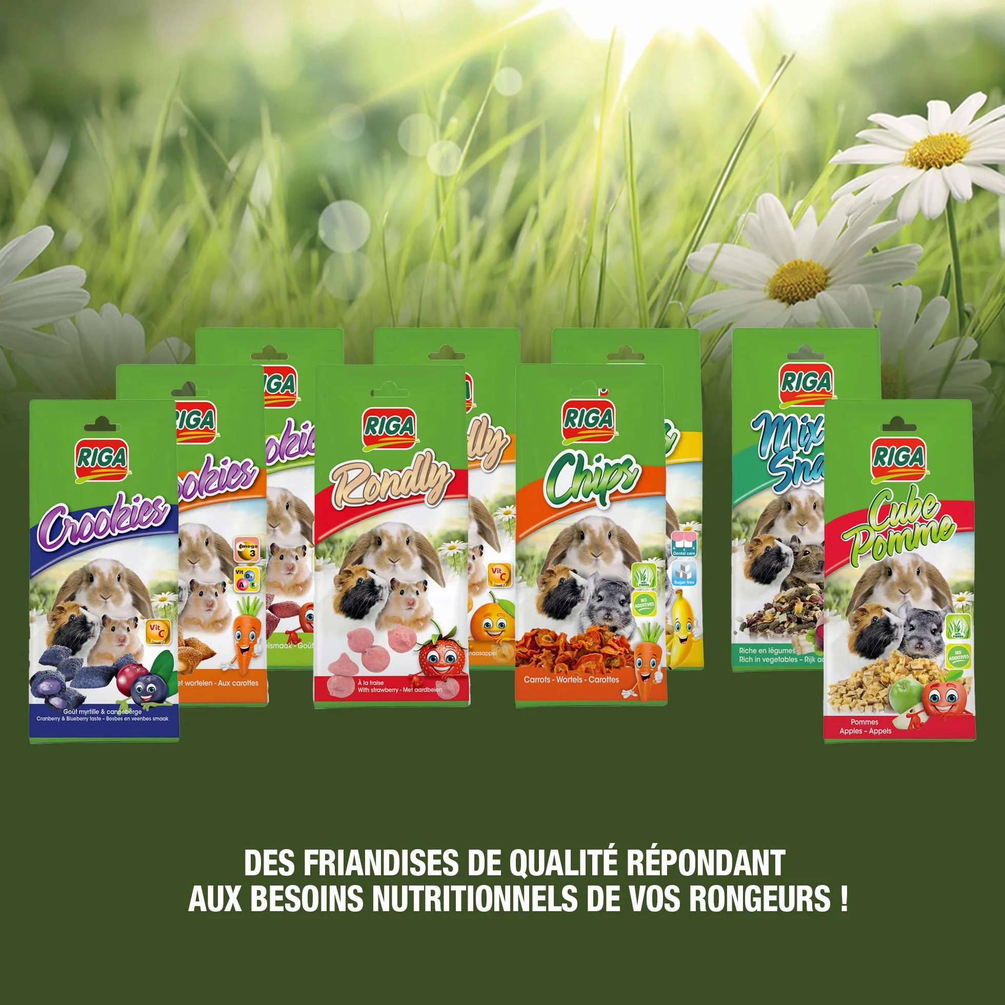 Rondly à l'Orange Friandise Complémentaire pour Rongeur 125 g