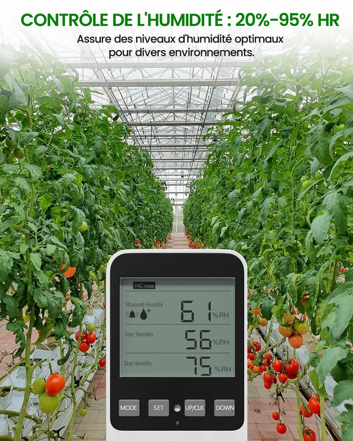 Prise Thermostat Hygrostat Numérique, Contrôleur de Température et d'humidité Prise avec Sonde, Alarme Régulateur Humidité Prise pour Terrarium Reptile Couveuse Incubateur Serre