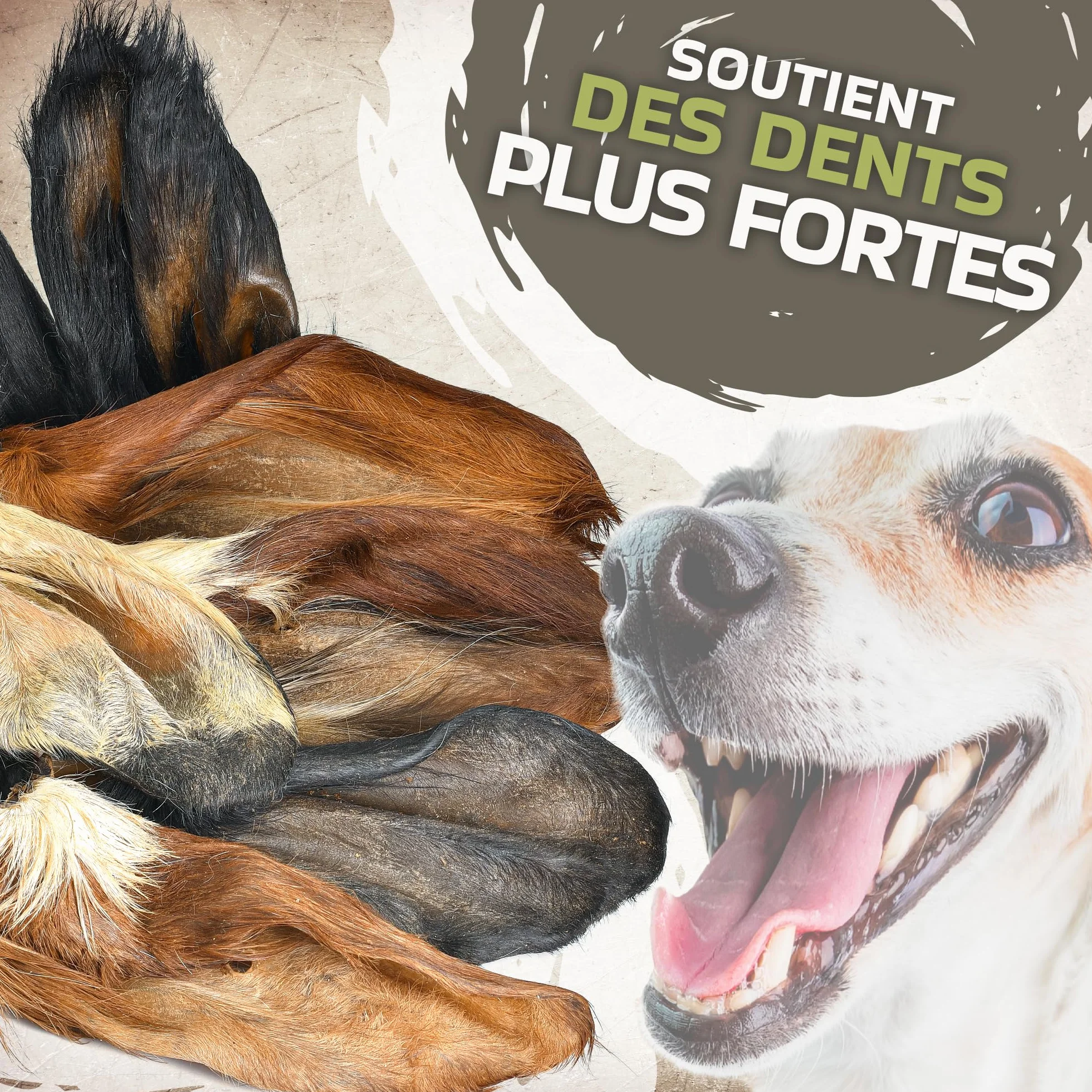 Lot de 10 oreilles de bœuf avec fourrure pour chien - Friandise naturelle à mâcher - Faible en gras et sans additifs