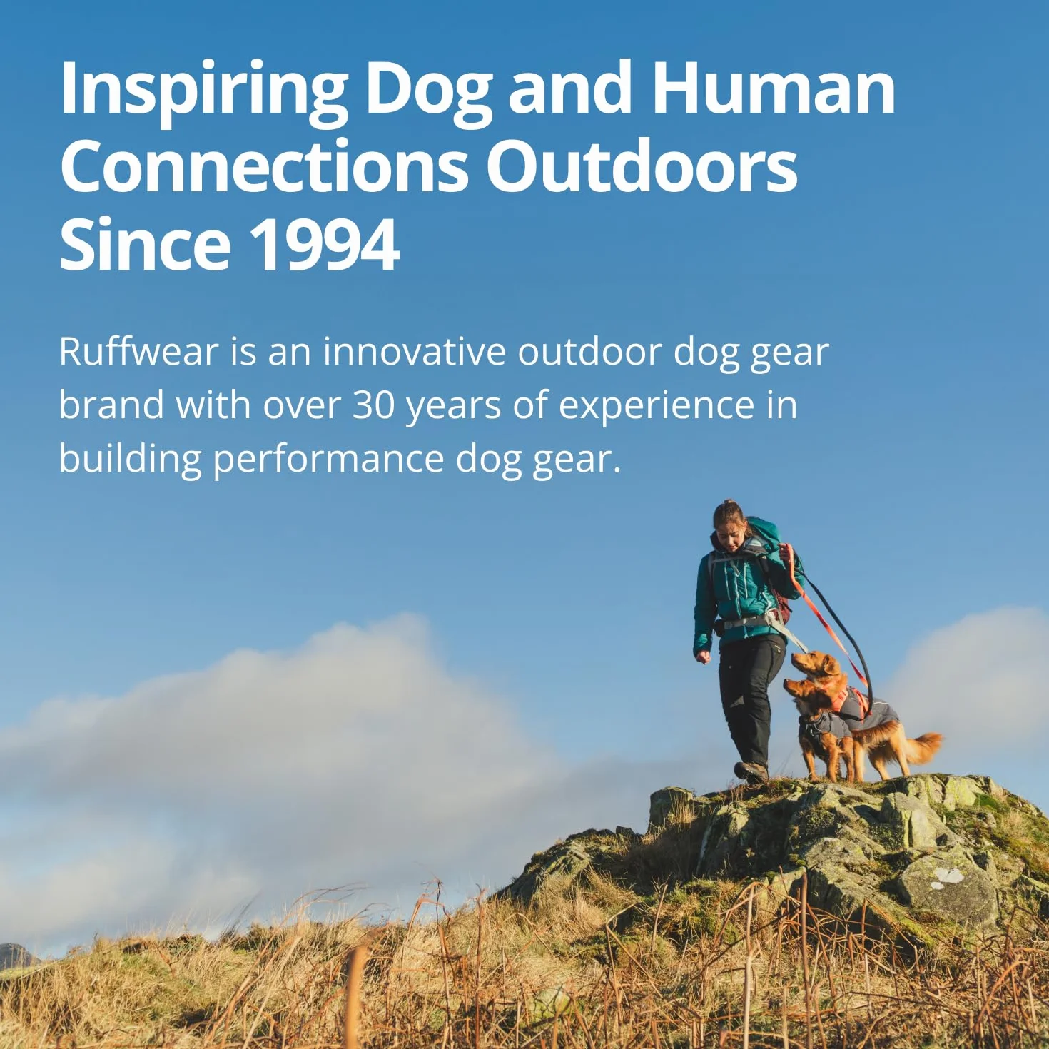 RUFFWEAR Palisades Sac modulaire chien randonnée léger avec harnais taille M lac glacier