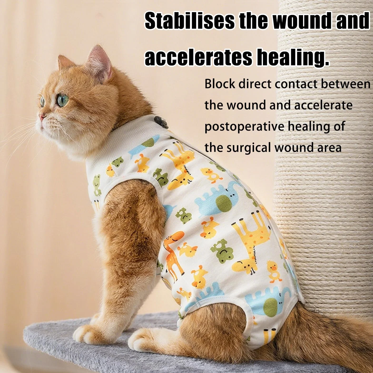 Lot de 2 combinaisons de convalescence pour chat après chirurgie, body de protection post-chirurgie, taille M