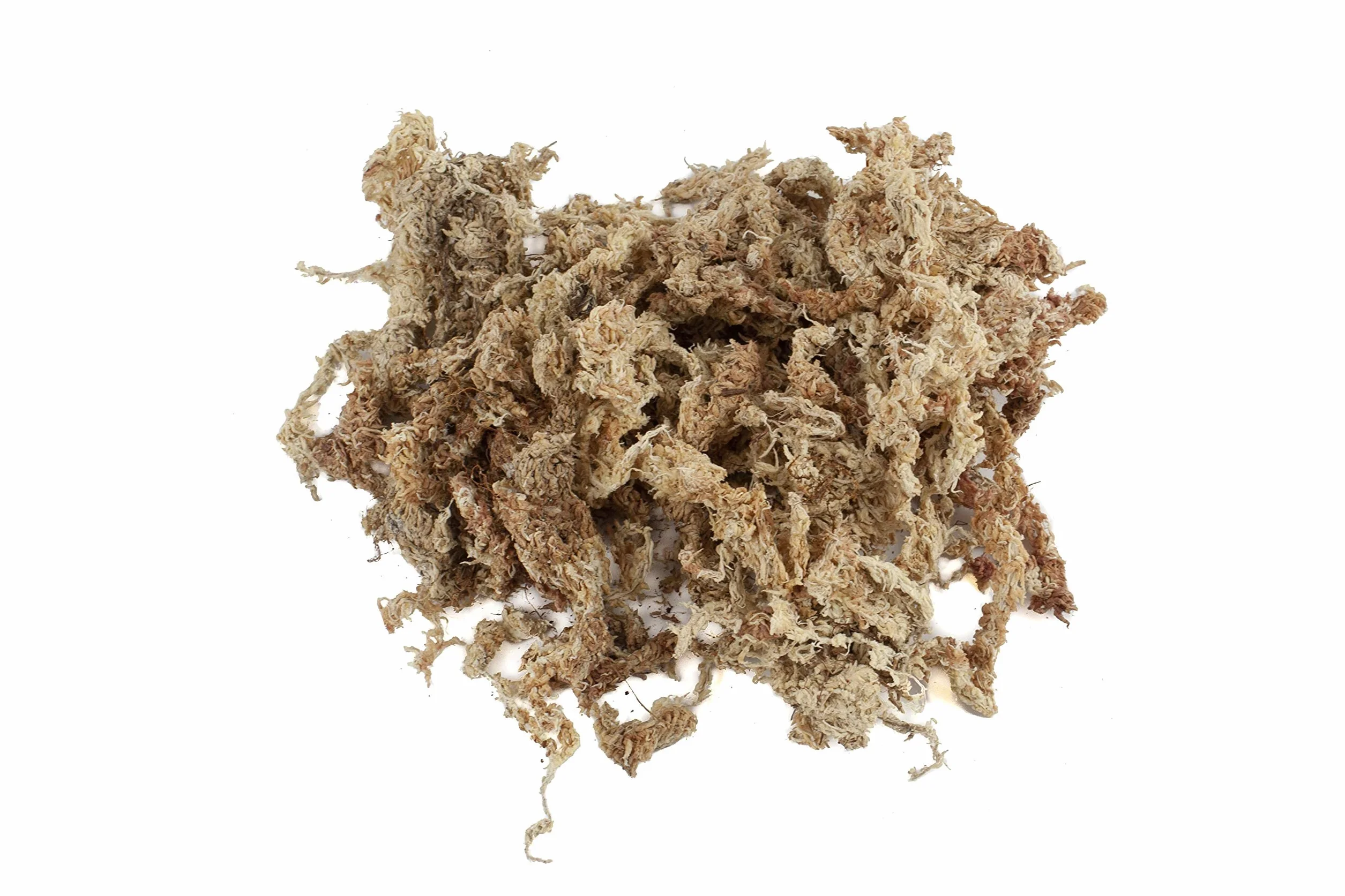 Sphaigne de sphaigne pour Terrarium et orchidées du Chili 150 g à 5000g