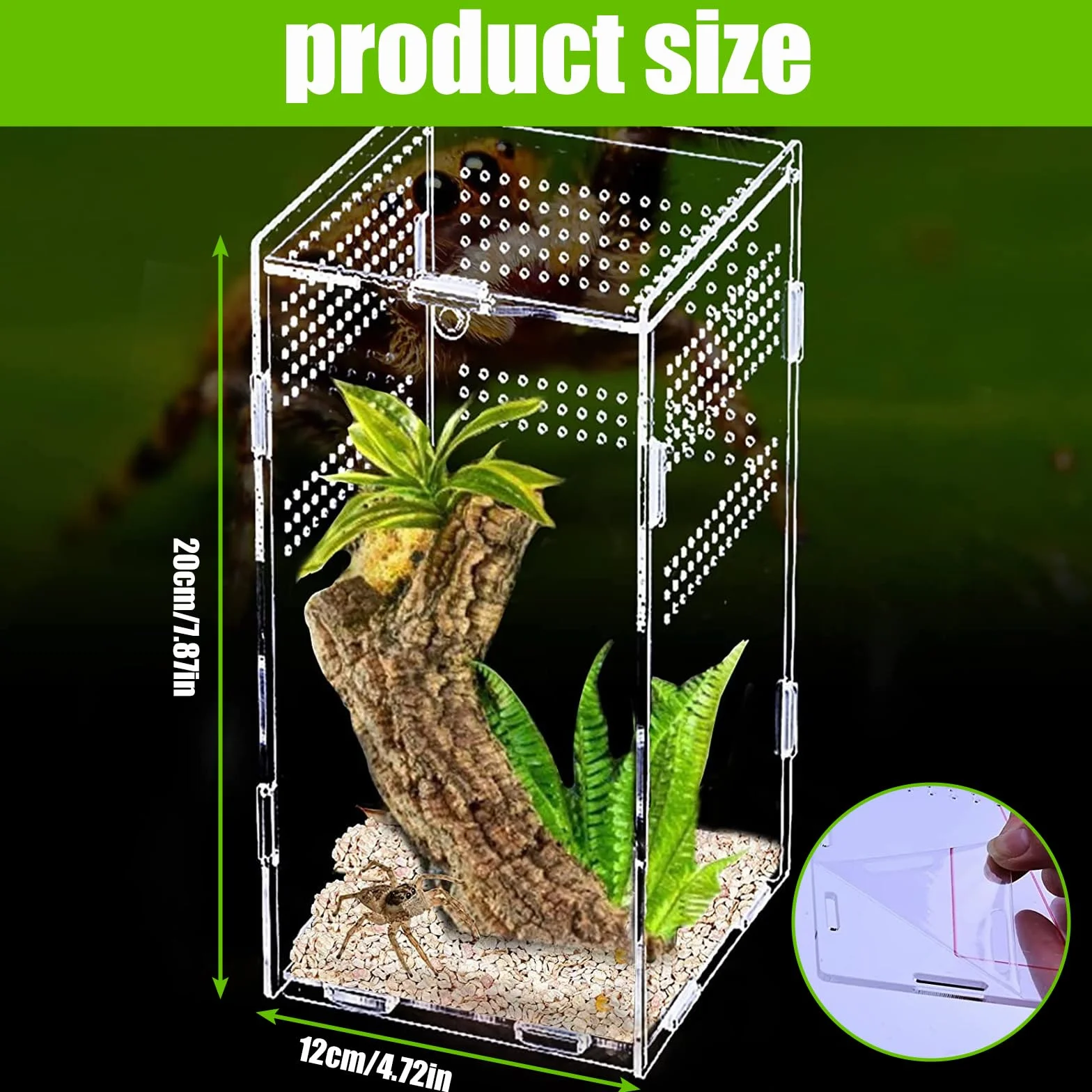Nizirioo Terrarium acrylique 360° 12x12x20 cm pour araignée scorpion mante religieuse reptile
