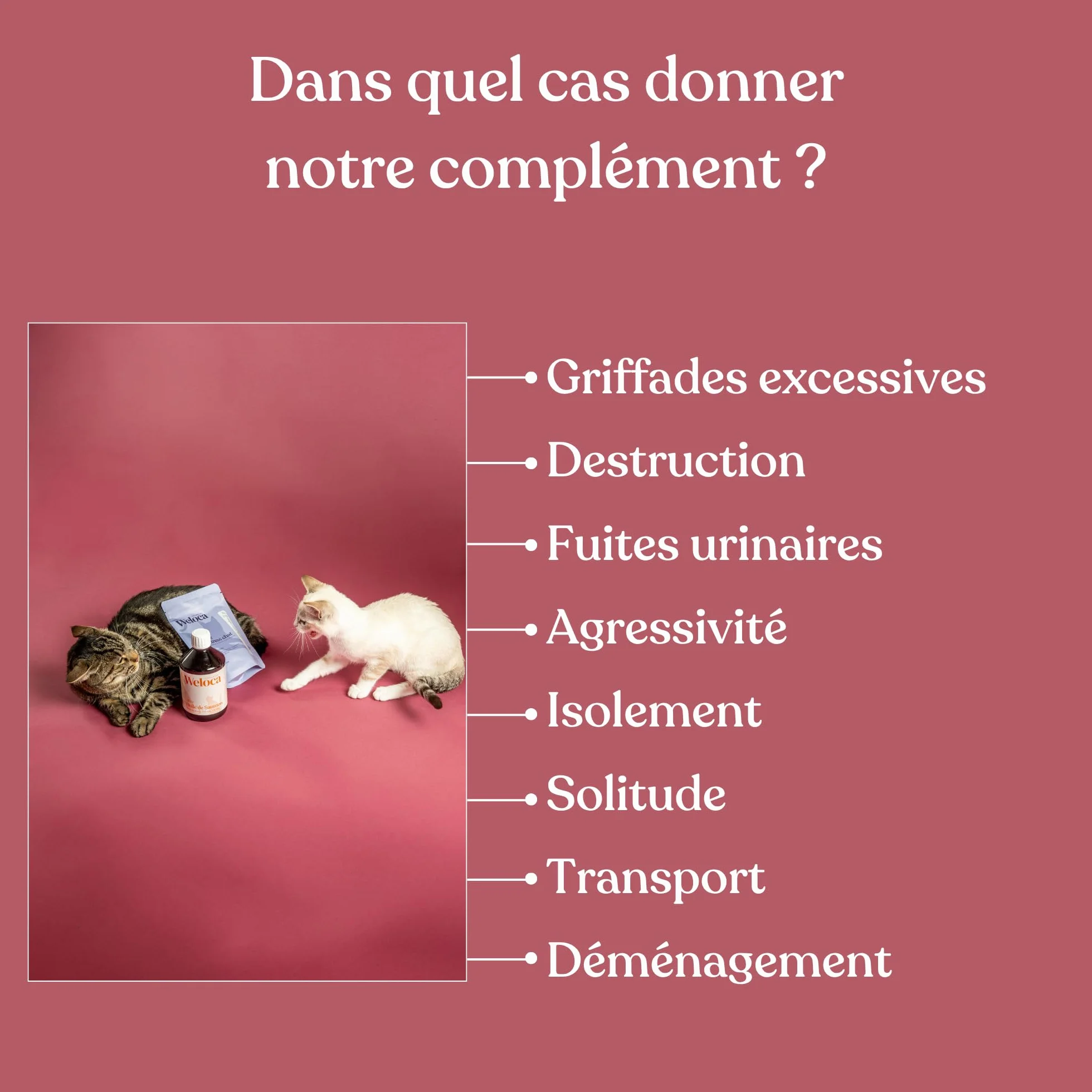 Anti-stress Chat 120 bouchées naturelles apaisant problèmes comportementaux calmant
