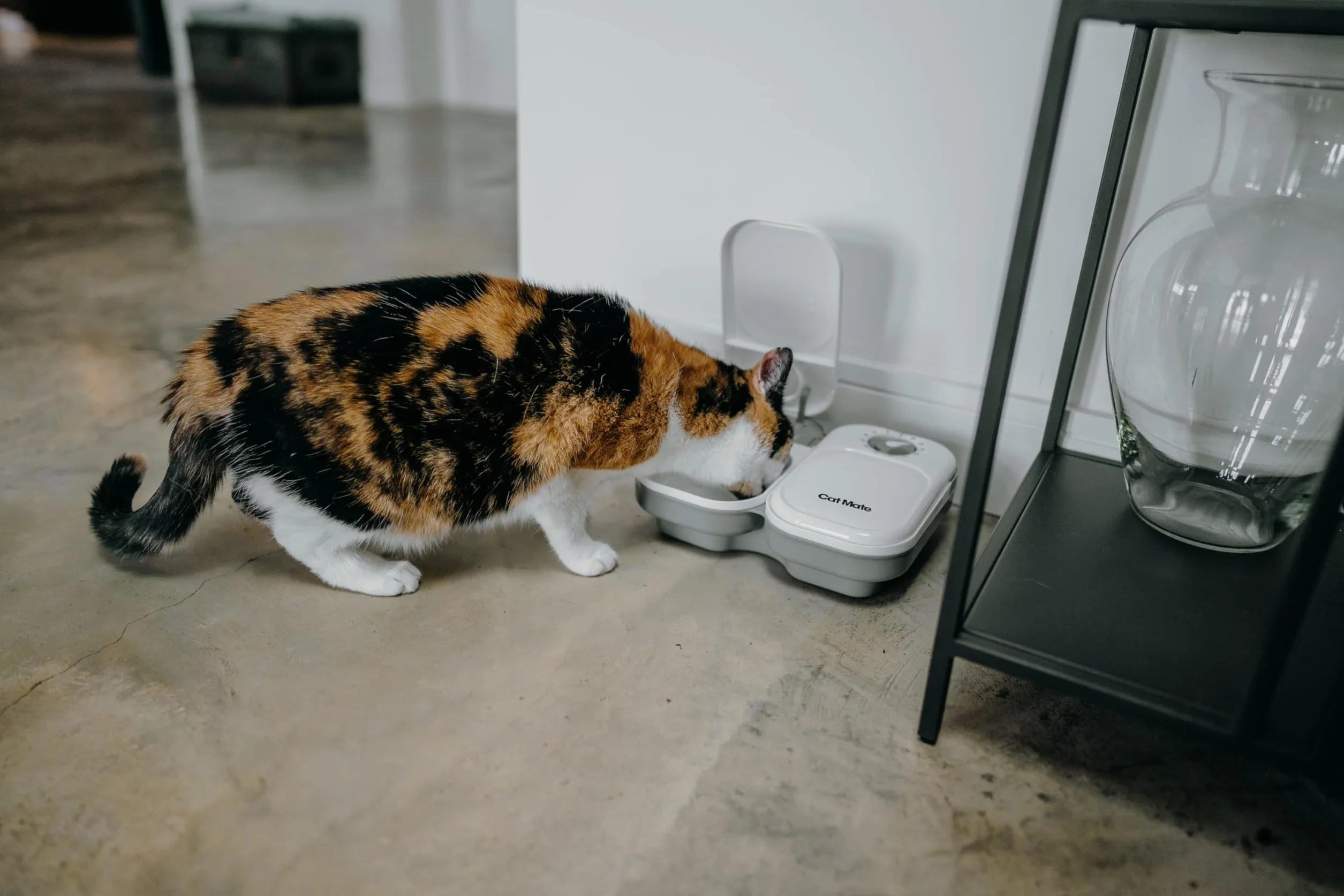 Kerbl Cat Mate Distributeur Automatique de Nourriture Programmable 1-3 Repas