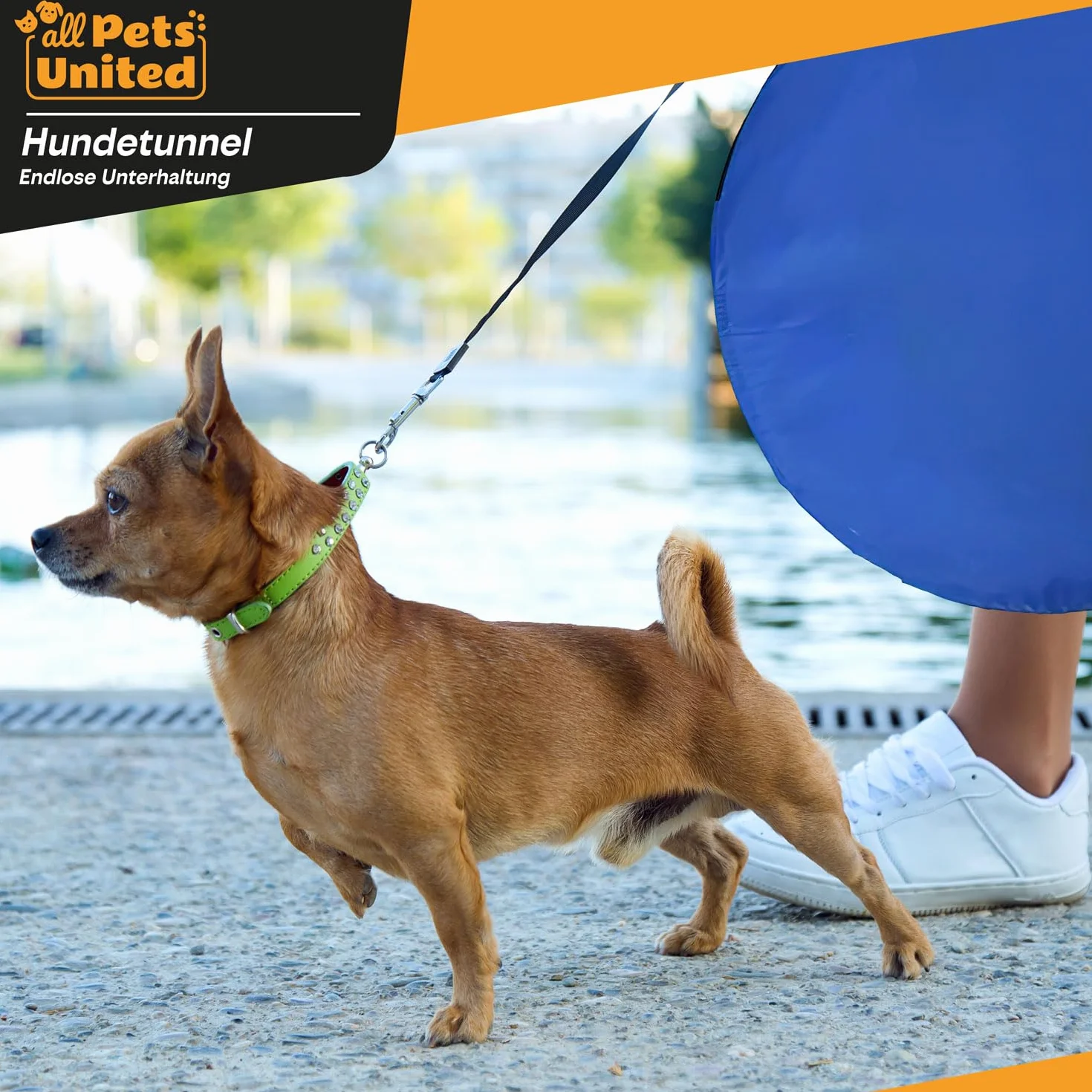 Tunnel d'agilité pour Chien 500 cm avec Sac de Transport