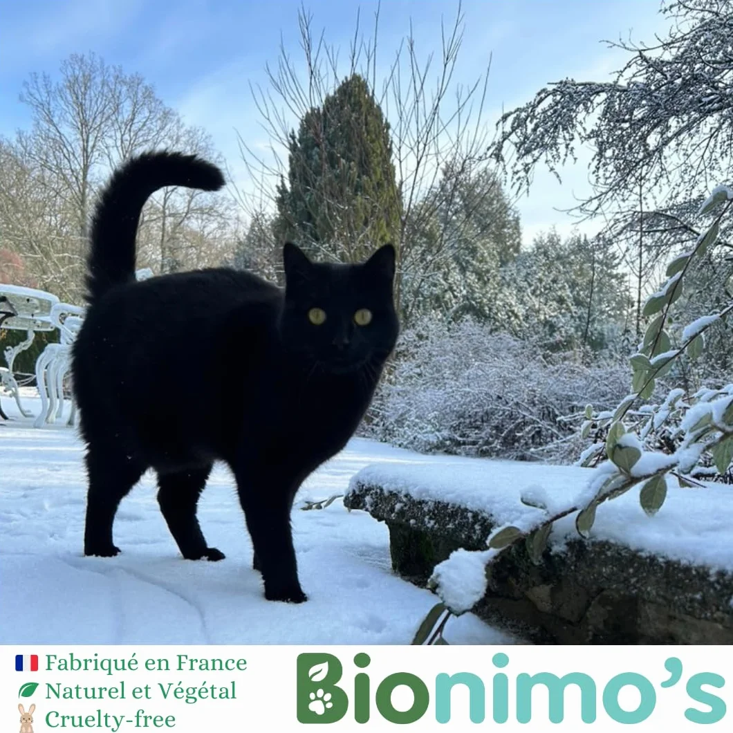 Shampoing à Sec sans rinçage Mousse lavante Naturelle Végétale Chats Chatons Peaux Sensibles Eau de Lavande Bio Aloe Vera Bio Français
