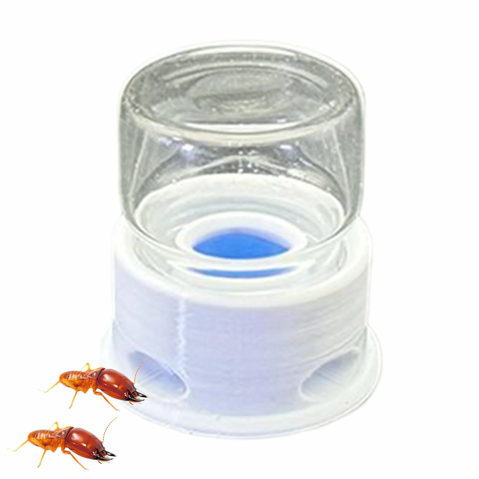 Transparent Distributeur pour Fourmis Abreuvoir pour Grillons Multifonction Abeilles Ferme Extérieur