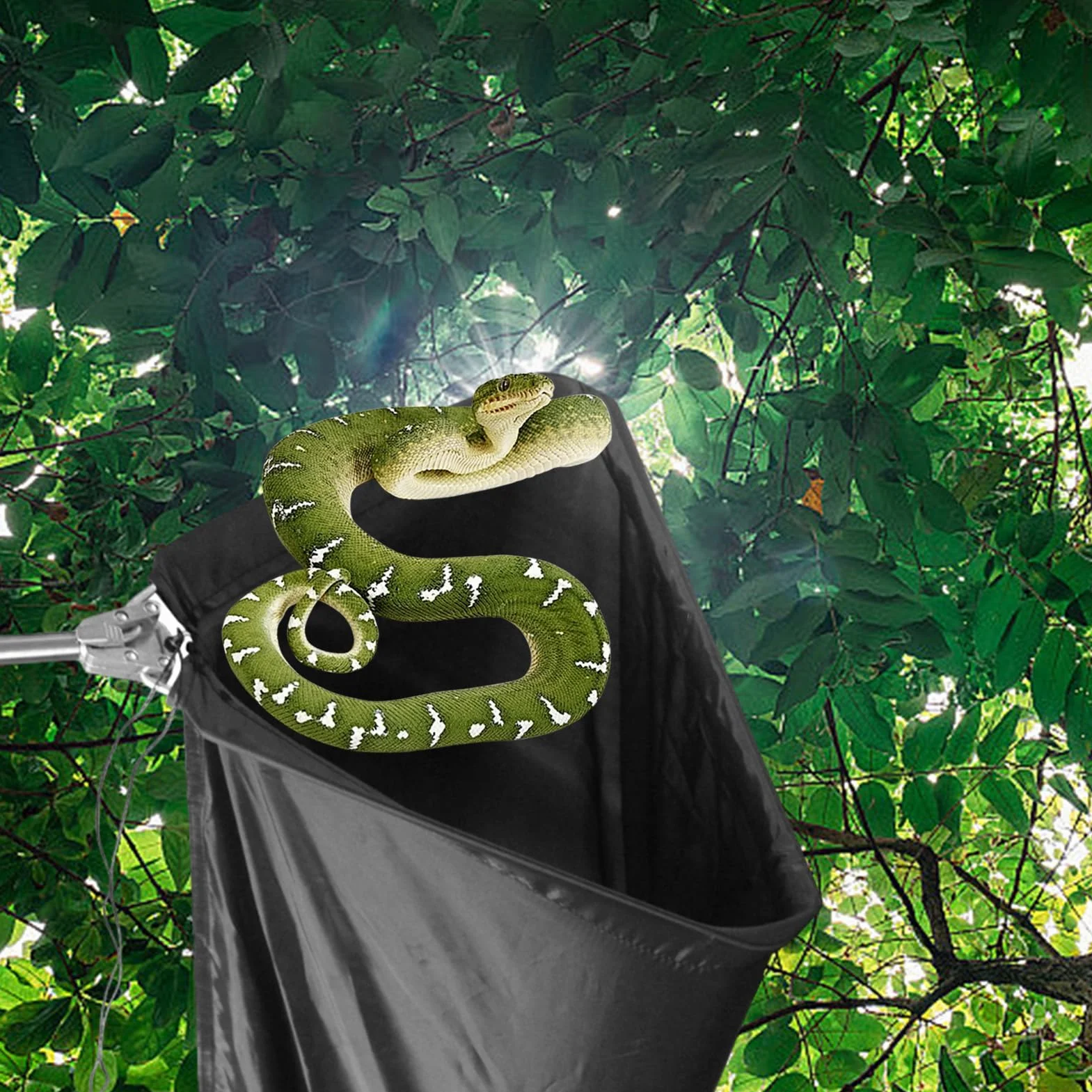 Sac pour reptile serpent – Sac de chasse télescopique pour transport et capture