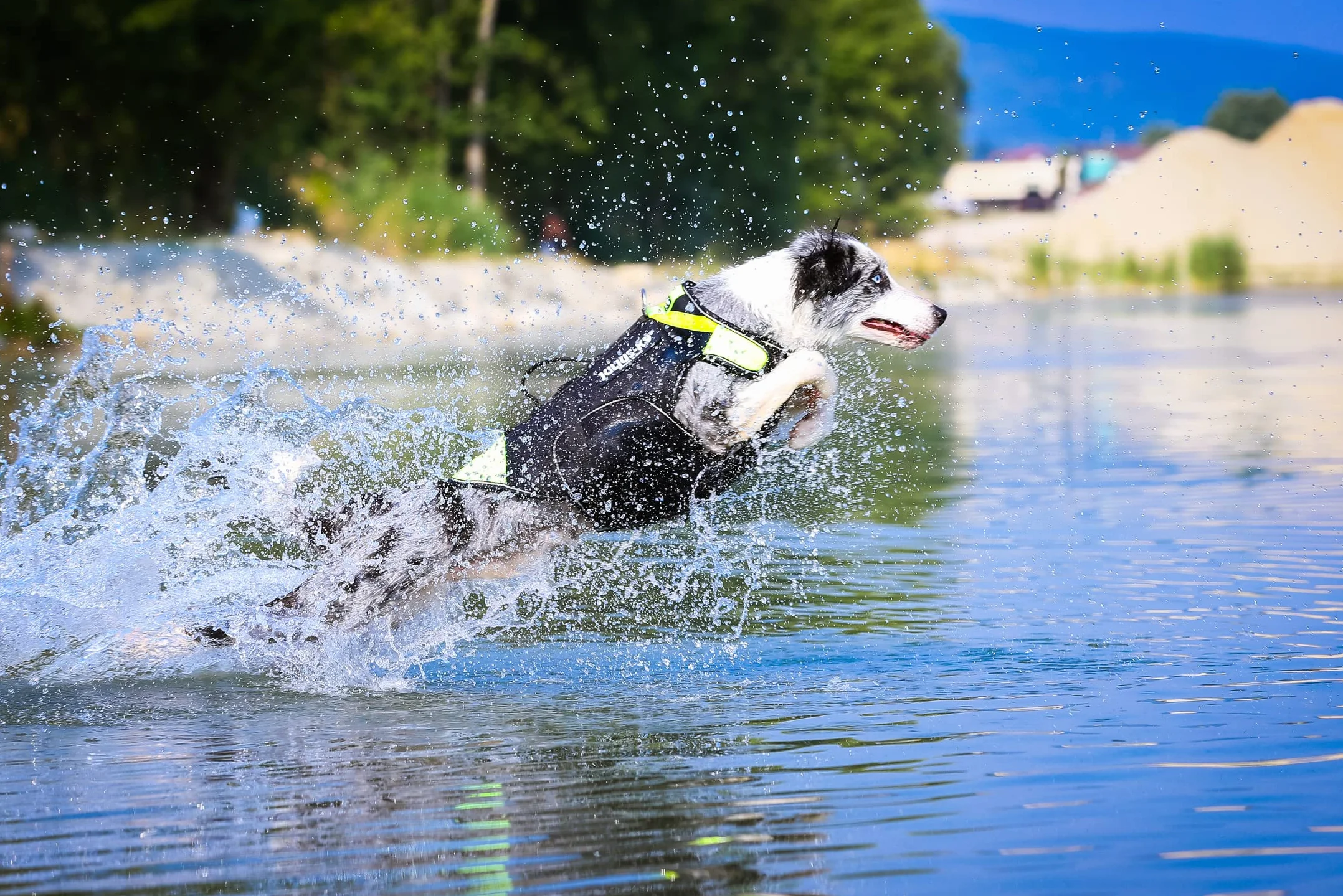 JULIUS K-9 16SWM-IDC-L Harnais-Gilet de Sauvetage IDC 3 en 1 pour Chiens Taille L Néon