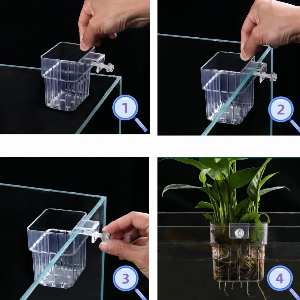Lot de 4 supports de plantes d'aquarium en PP transparent, suspendu avec trous de circulation