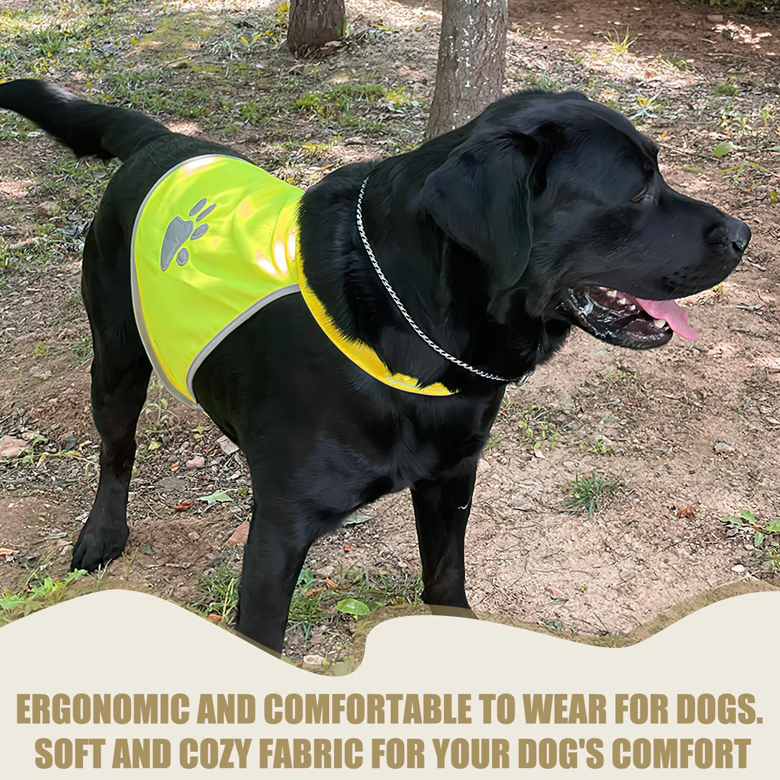 Gilet de Sécurité Réfléchissant pour Chien Haute Visibilité Taille M