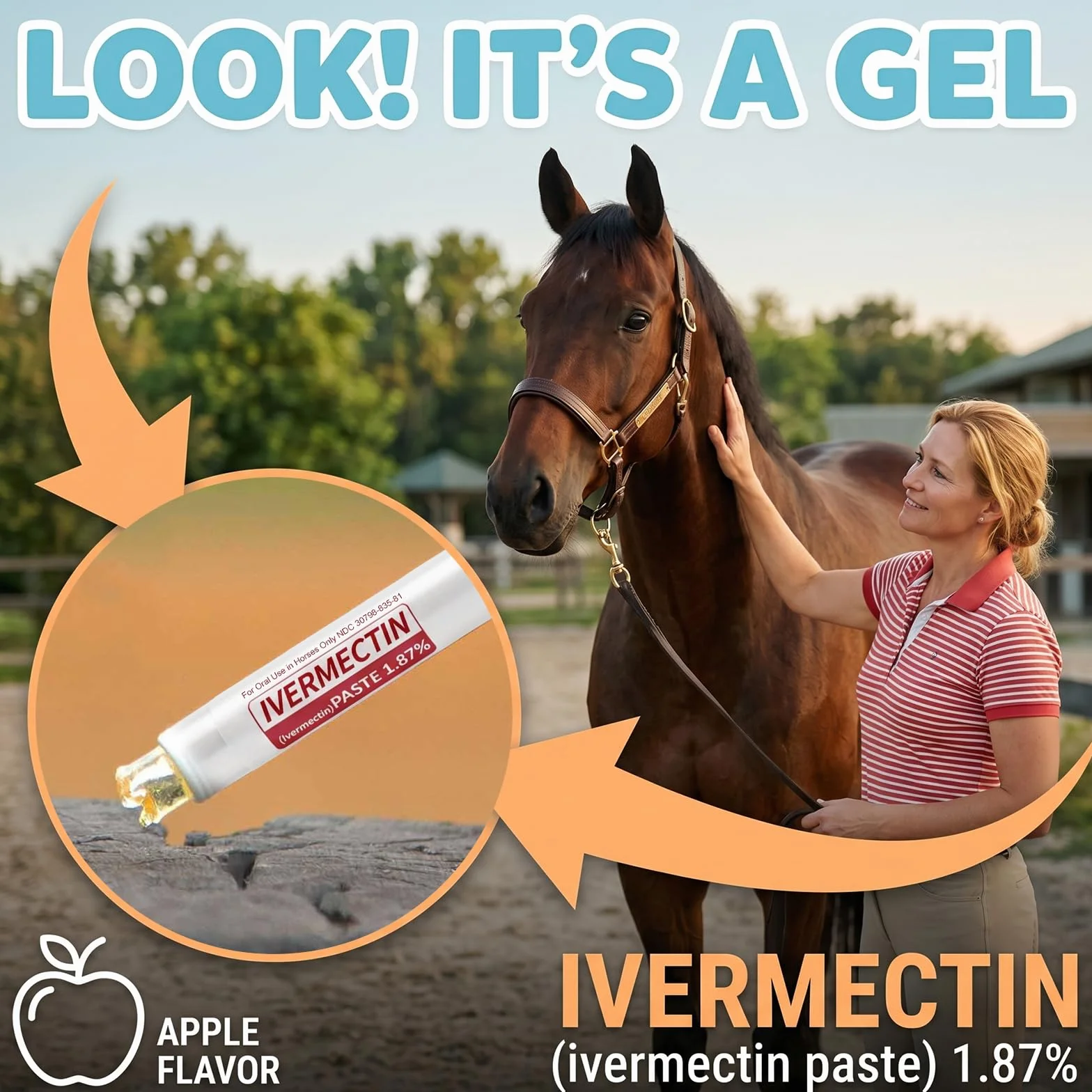 Lot de 6 gels pour chevaux 1,87 % goût pomme pour chevaux jusqu'à 567 kg - Gel simple pour tous les âges