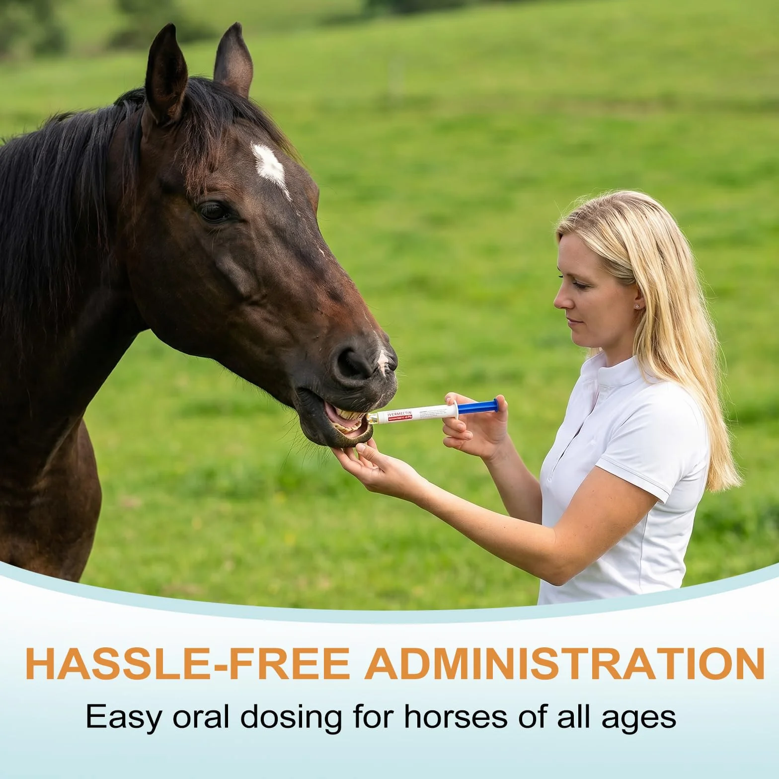 Lot de 6 gels pour chevaux 1,87 % goût pomme pour chevaux jusqu'à 567 kg - Gel simple pour tous les âges