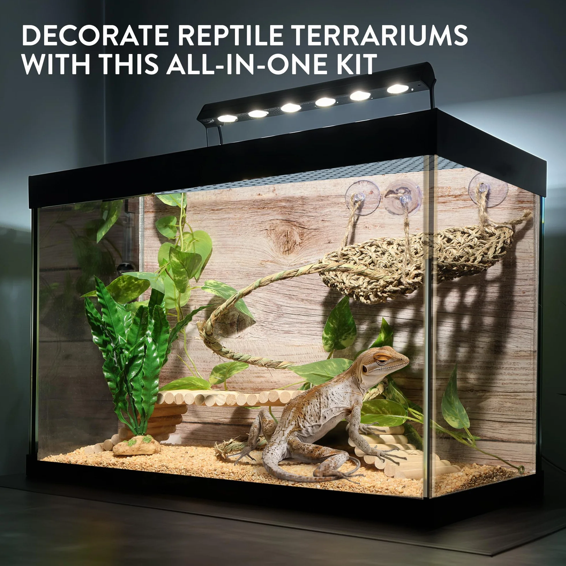 Navaris Décoration Terrarium Vivarium - Lot 5X Accessoire avec hamac Corde Petit Arbre Plante et Rampe en Bois - Deco Terrarium pour Cameleon Dragon Barbu Gecko lezard