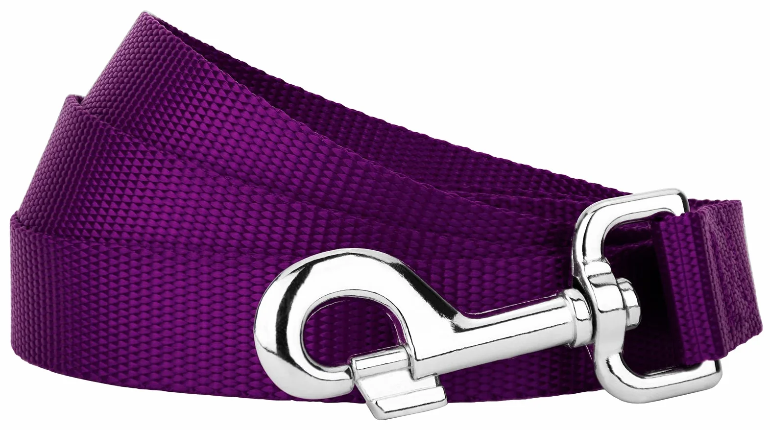 Country Brook Petz - Laisse en nylon pour chien - Robuste, durable, style traditionnel avec mousqueton facile à utiliser - Plus de 25 couleurs (2,5 cm de large, 1,8 m, violet)