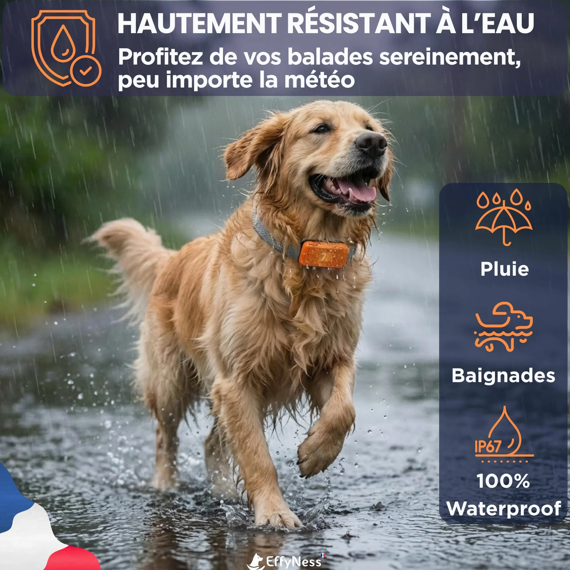 Collier Anti Aboiement Chien Électrique Rechargeable 3 Modes 7 Niveaux Automatique Réglable Sans Douleur
