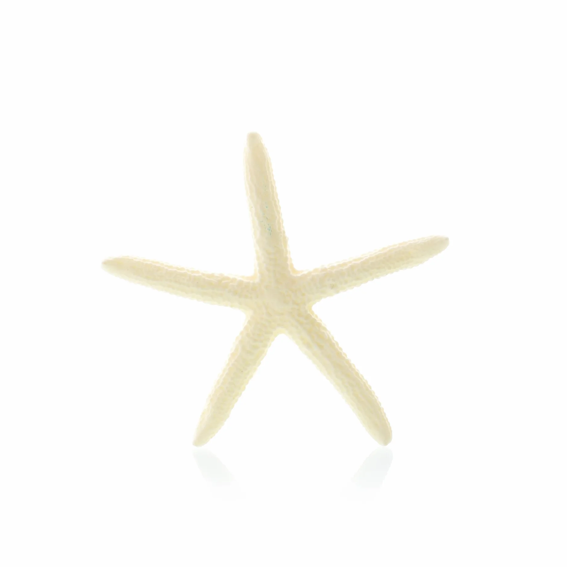 Étoile de mer en résine 4,4-9 cm Décoration aquarium paysage océan