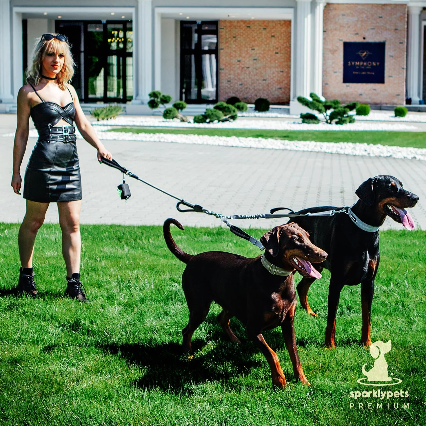 Laisse Double de qualité supérieure pour Deux Chiens - Absorption des Chocs et Anti-Traction - Double Laisse pour Chiens de Taille Moyenne et Grande avec Double Attache réglable pour 2 Chiens