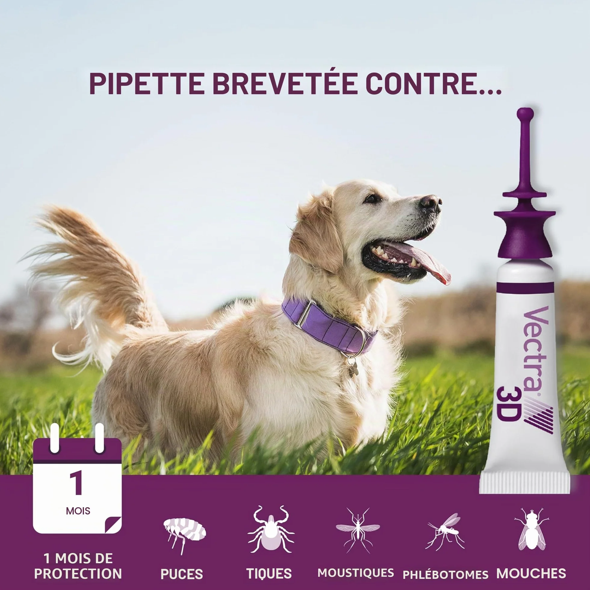 Vectra Vectra 3D Spot-on Solution 3 pipettes 8 ML pour Chiens 40 kg Rouge