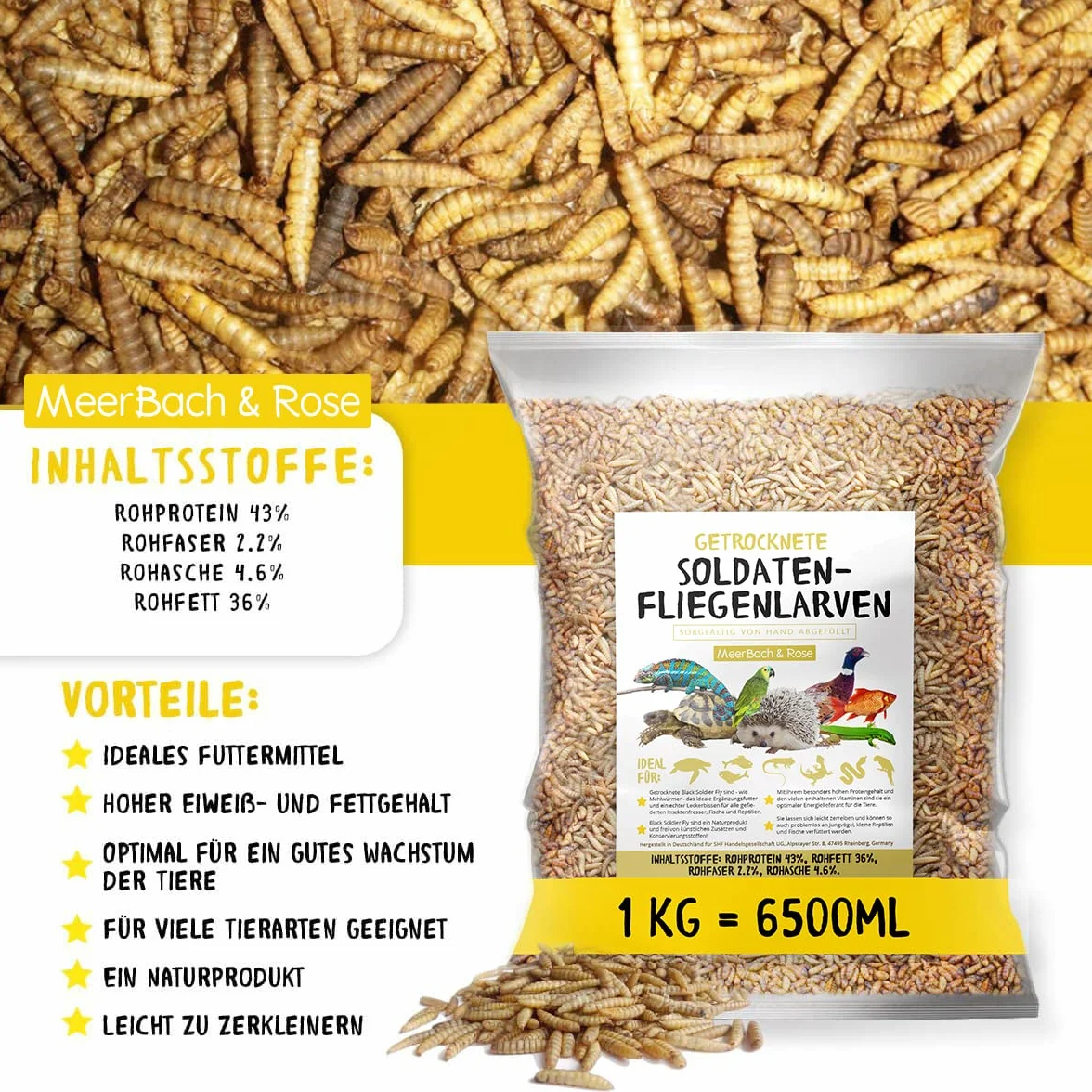 Larves de mouches soldats séchées - Black Soldier Fly - 1 kg (équivalent à 6,5 l) Aliment en sachet, collation riche en protéines pour oiseaux sauvages, poissons, reptiles, tortues et hérissons
