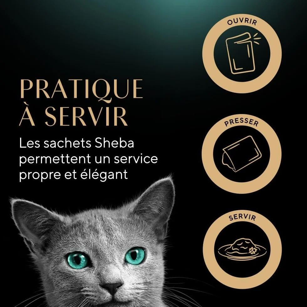 Sheba Délices du Jour Sachets Fraîcheur 6 x 50 g Sélection à La Volaille en Sauce Pack de 12