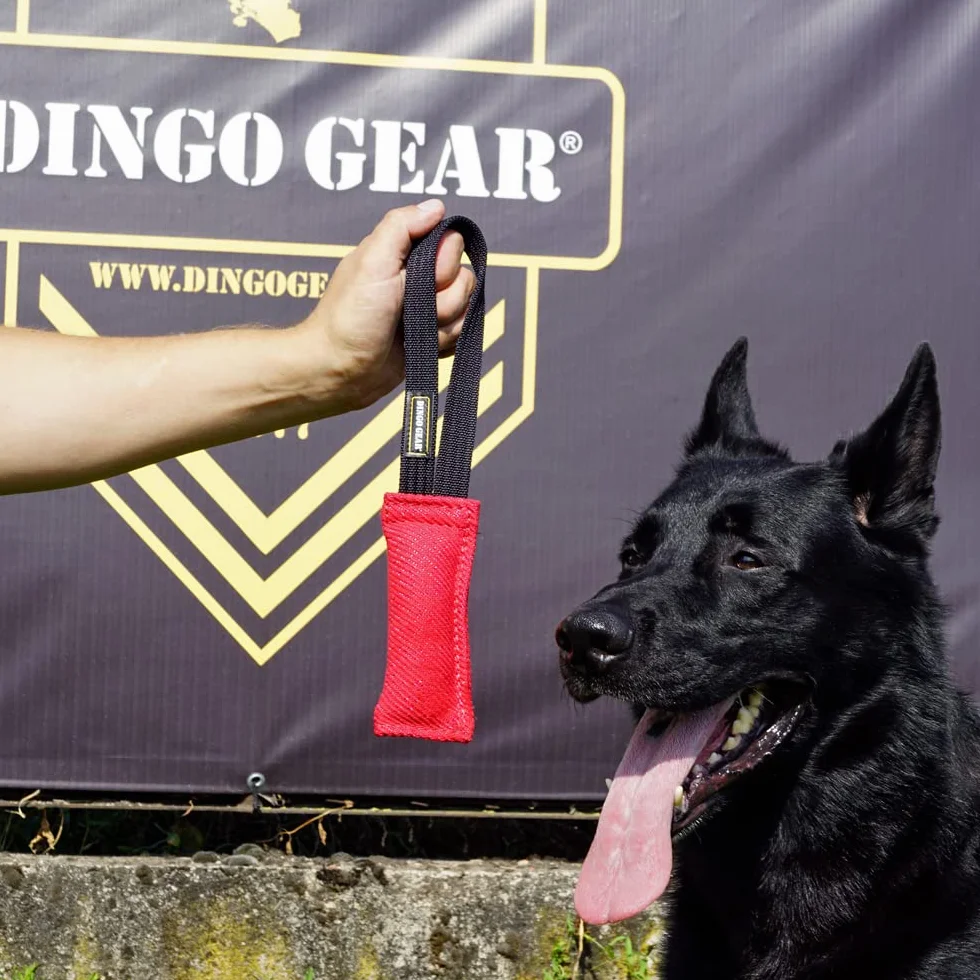 Dingo Gear Nylcot Bite Tire-Chien Dressage IGP Fun 1 poignée Noir 15 x 5 cm