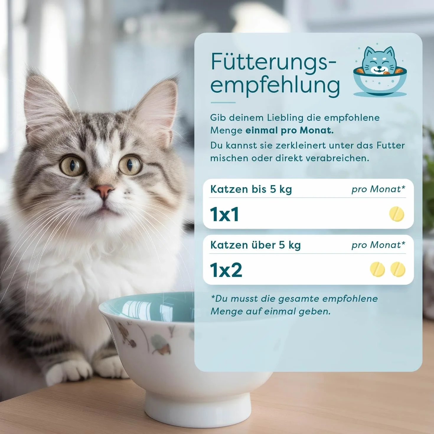 Dr. SAM wufit pour Chats à Base de Plantes - Paquet mensuel - Soutien Gastro-intestinal Naturel après Infestation de Vers (Moins de 5kg)