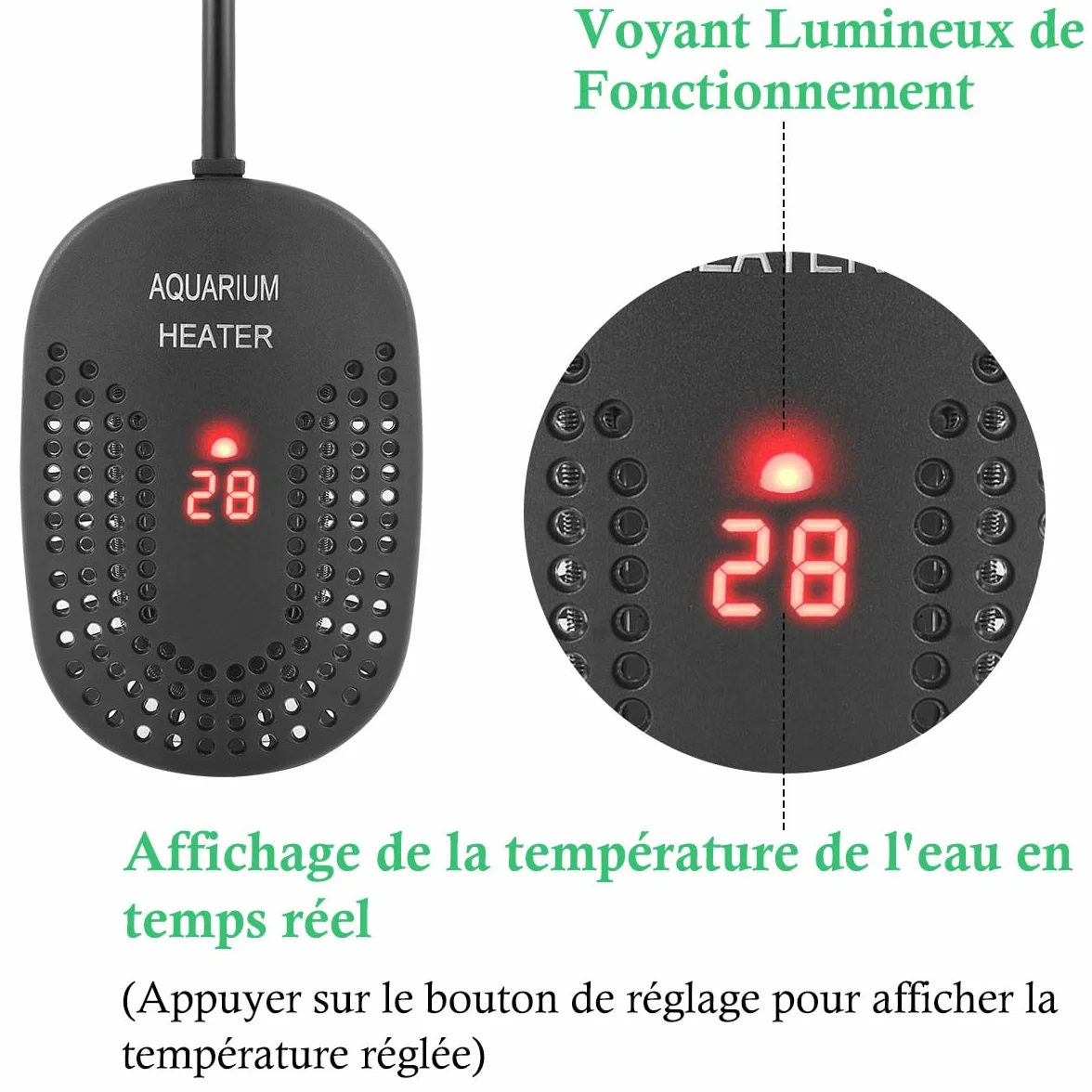 Mini Chauffage pour Aquarium 50W 100W, Chauffage Réglable pour Aquarium avec Contrôleur de Température Externe, Chauffage Incassable pour Poissons et Tortues, Eau Douce et Eau Salée (100W)